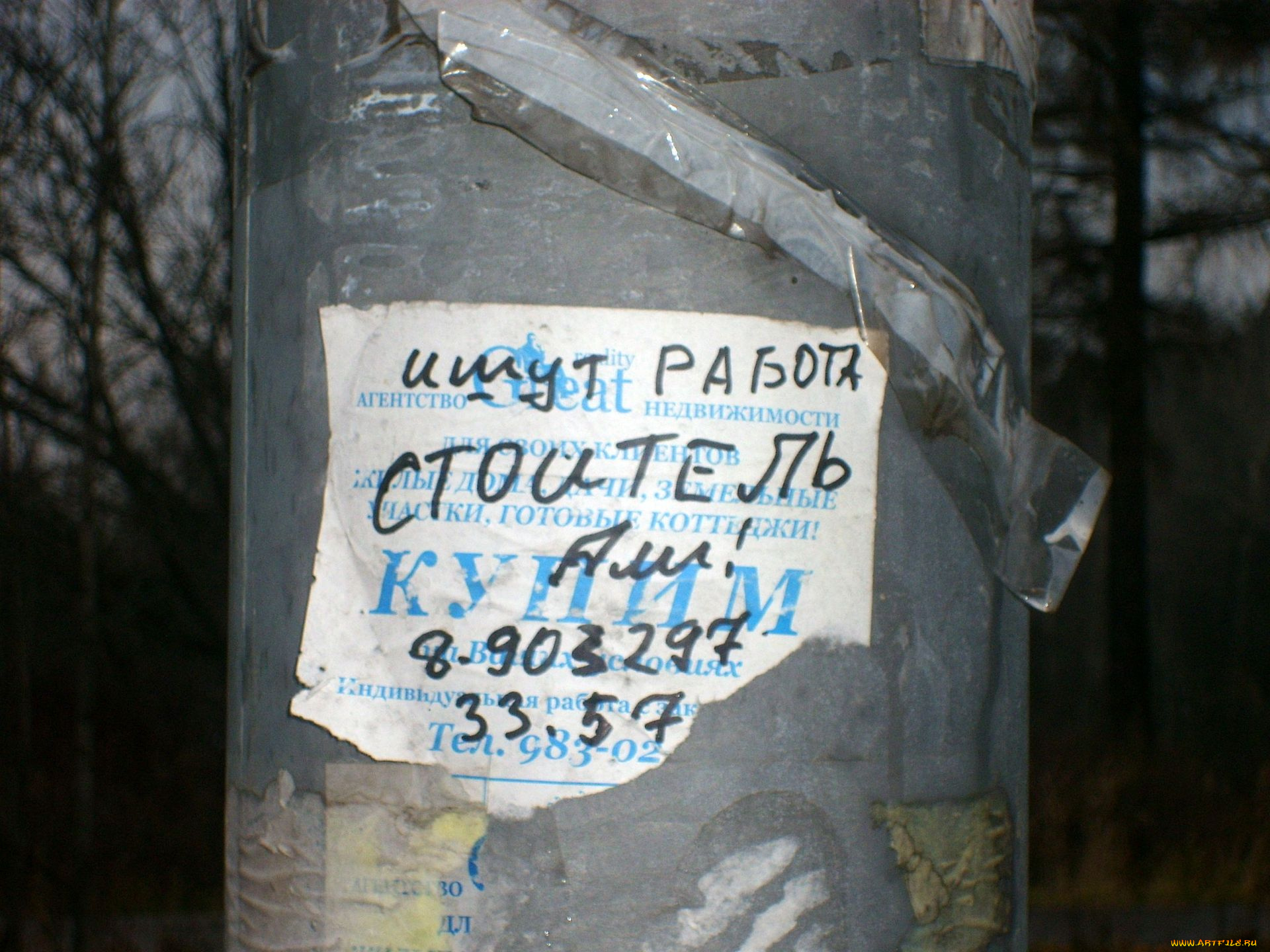 юмор, приколы