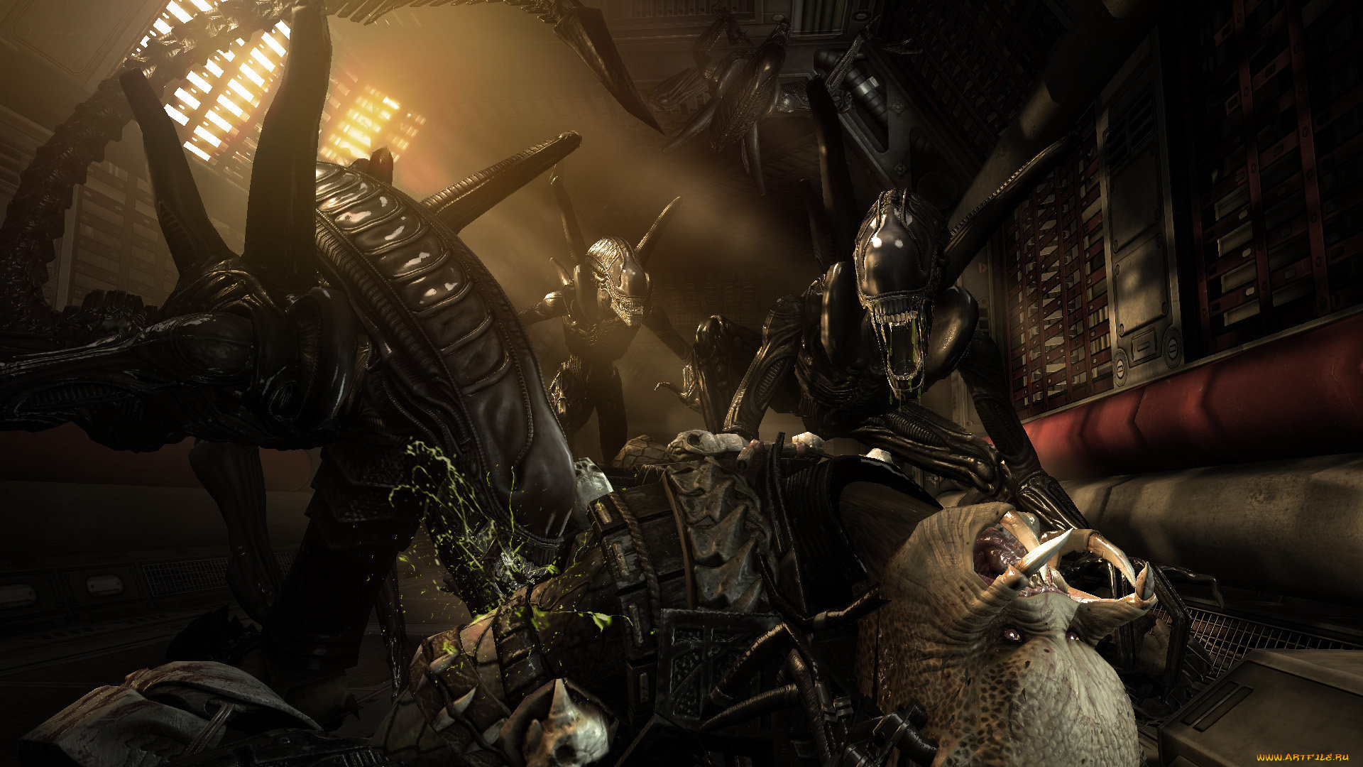 aliens, vs, predator, кино, фильмы, requiem