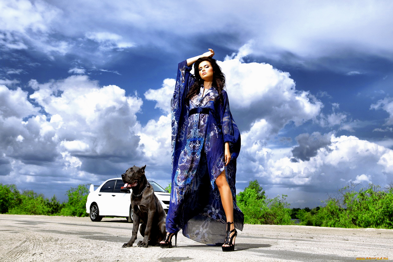 автомобили, авто, девушками, и, девушки