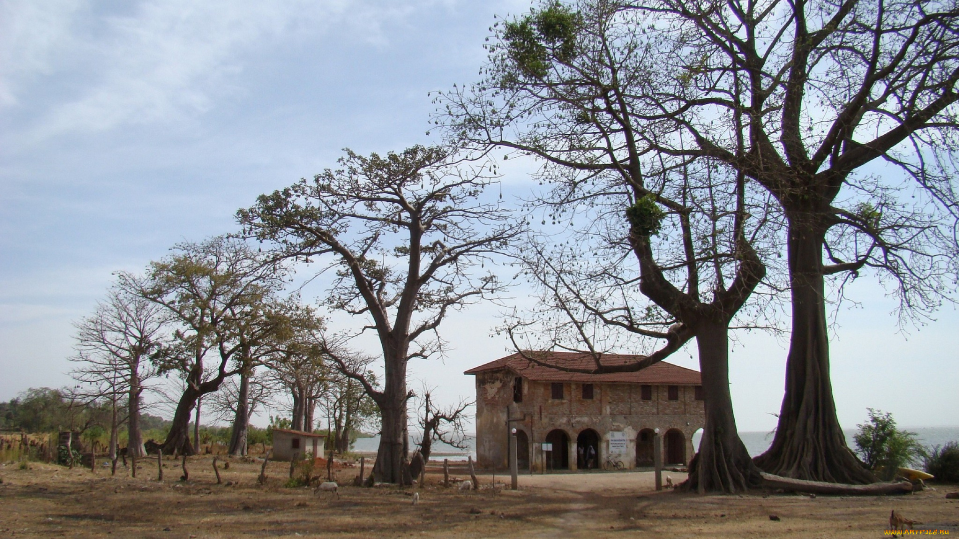 разное, сооружения, постройки, здания, животные, деревья