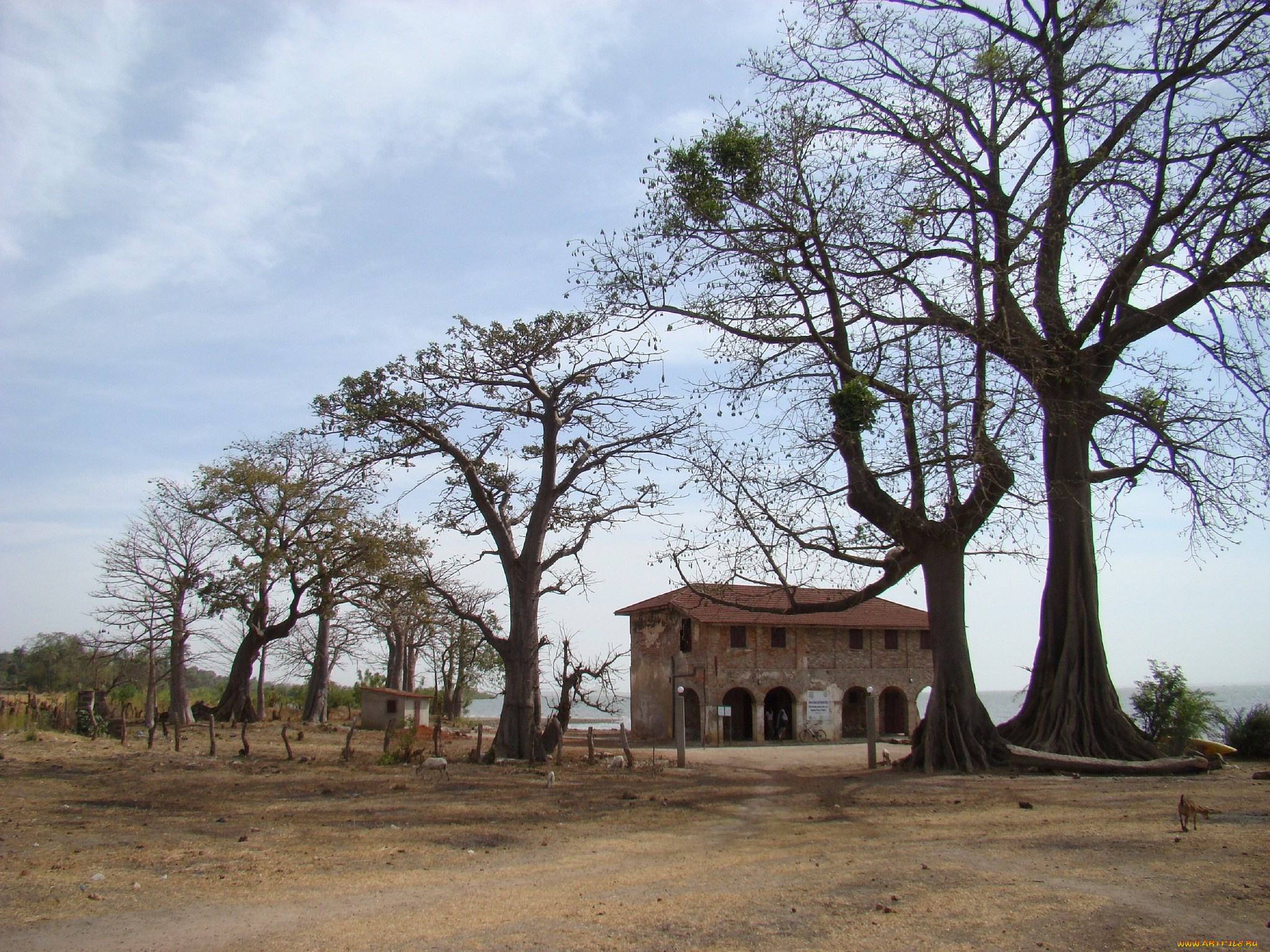 разное, сооружения, постройки, здания, животные, деревья