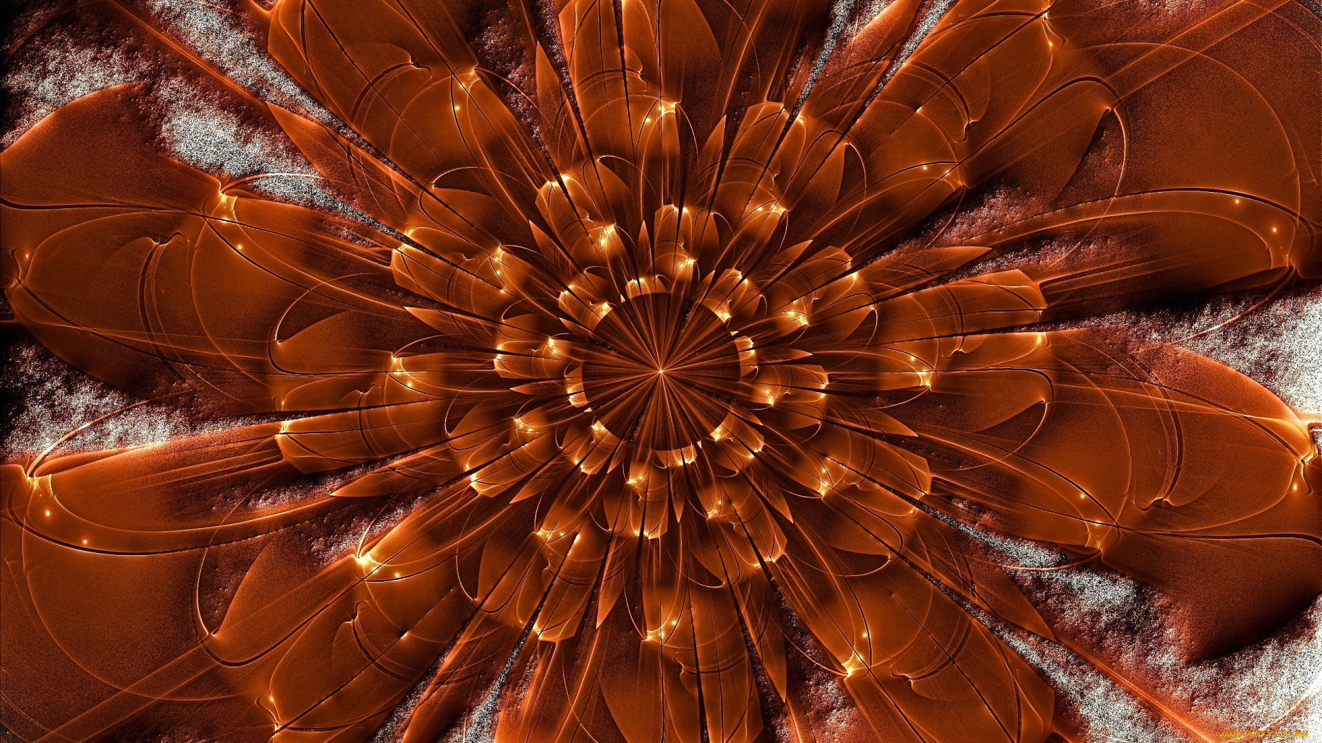 3д, графика, flowers, цветы, лепестки