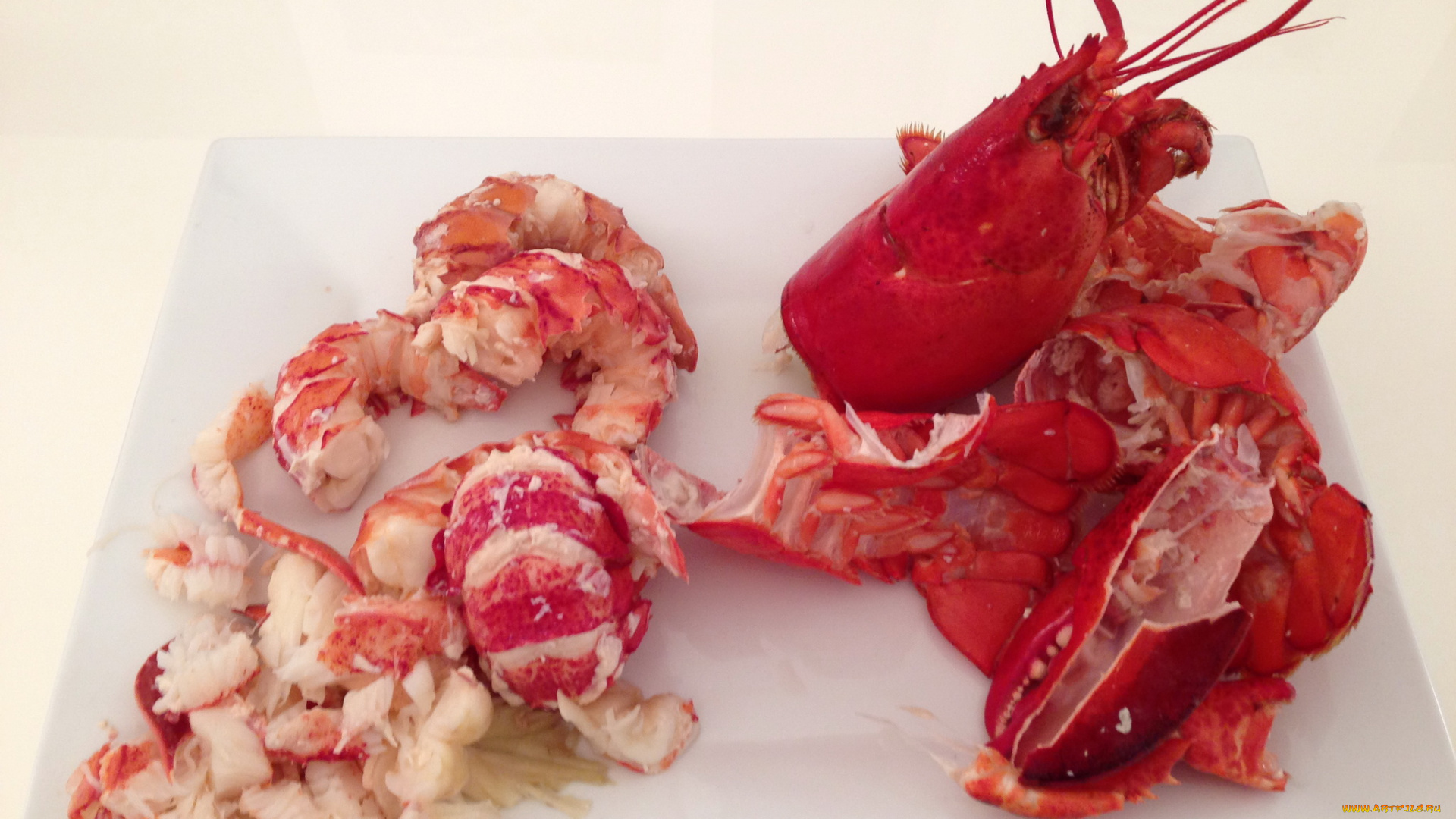 еда, рыба, морепродукты, суши, роллы, раки