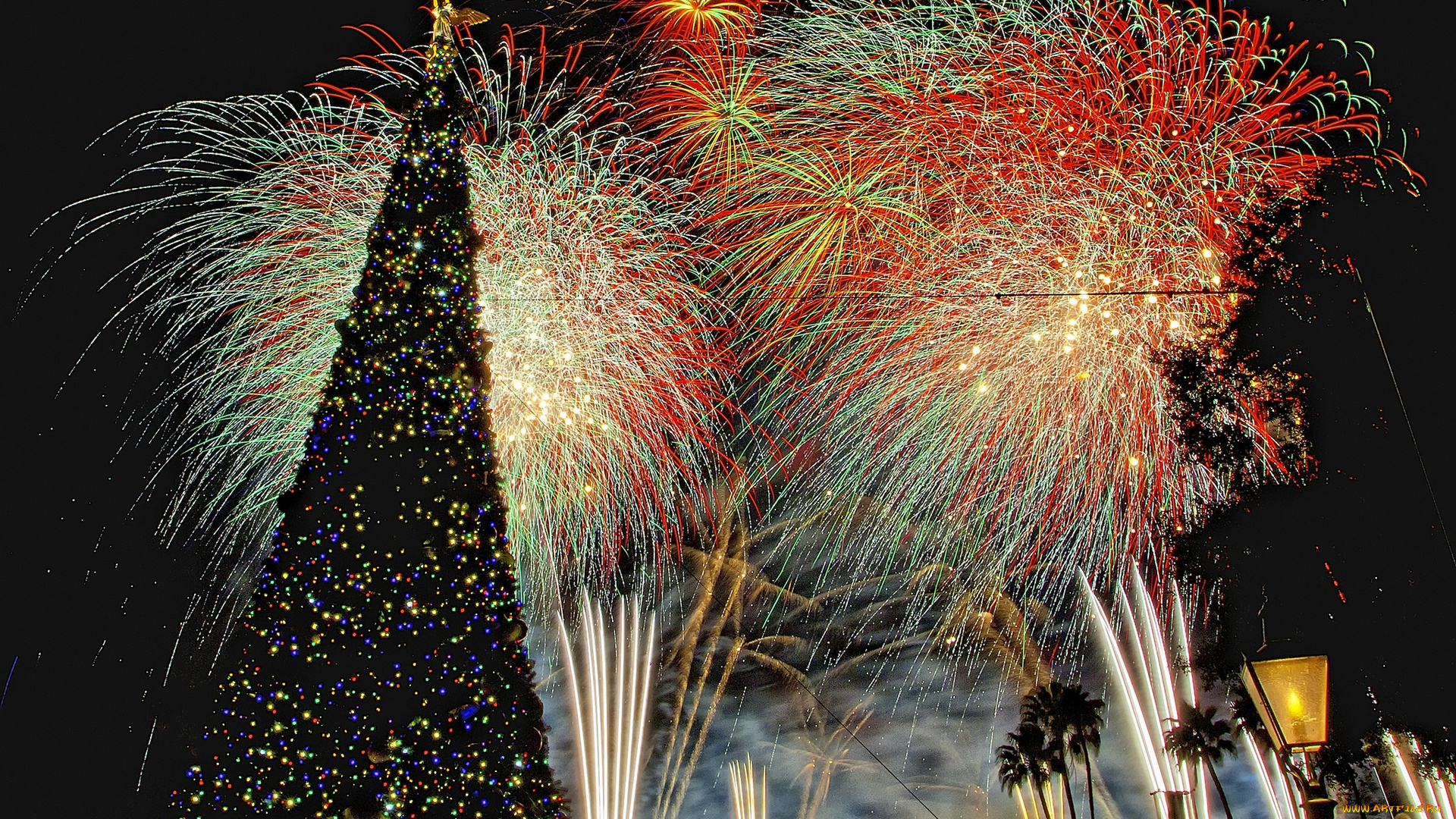 праздничные, Ёлки, штат, флорида, сша, диснейленд, представление, зрелище, фейерверк, шоу