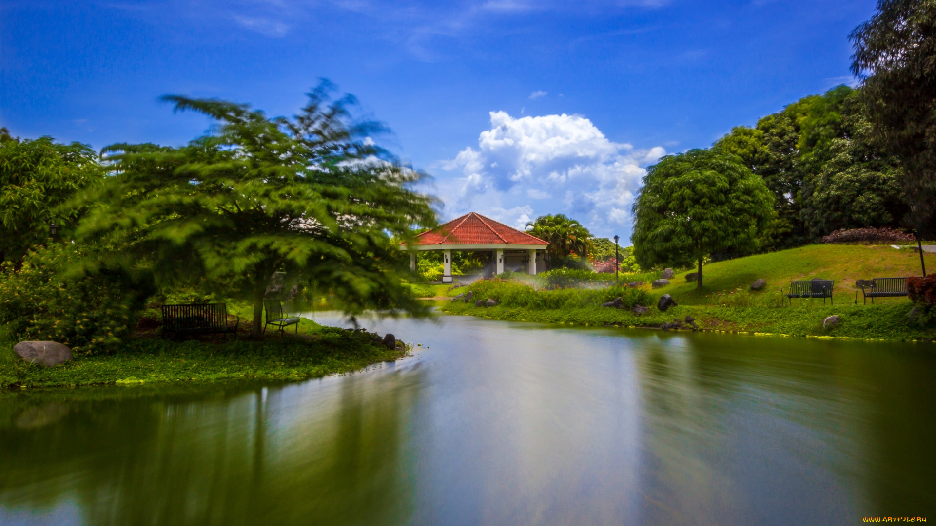 природа, парк, пейзаж