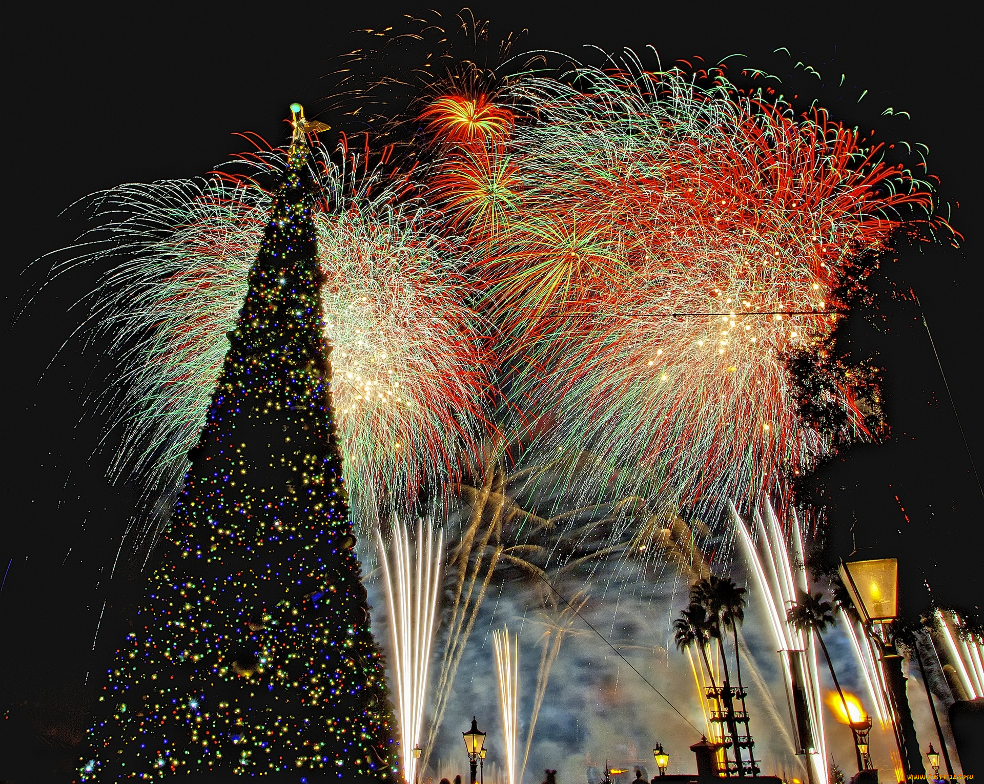 праздничные, Ёлки, штат, флорида, сша, диснейленд, представление, зрелище, фейерверк, шоу
