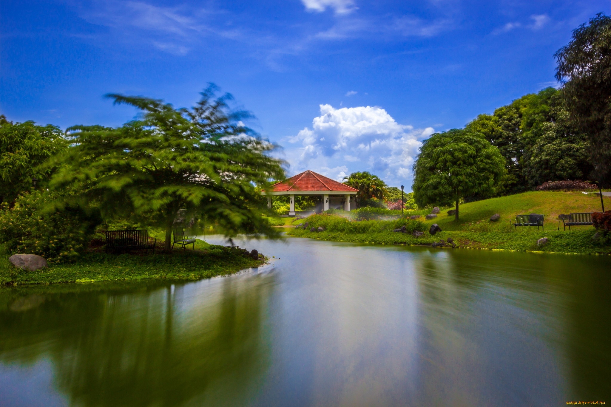 природа, парк, пейзаж