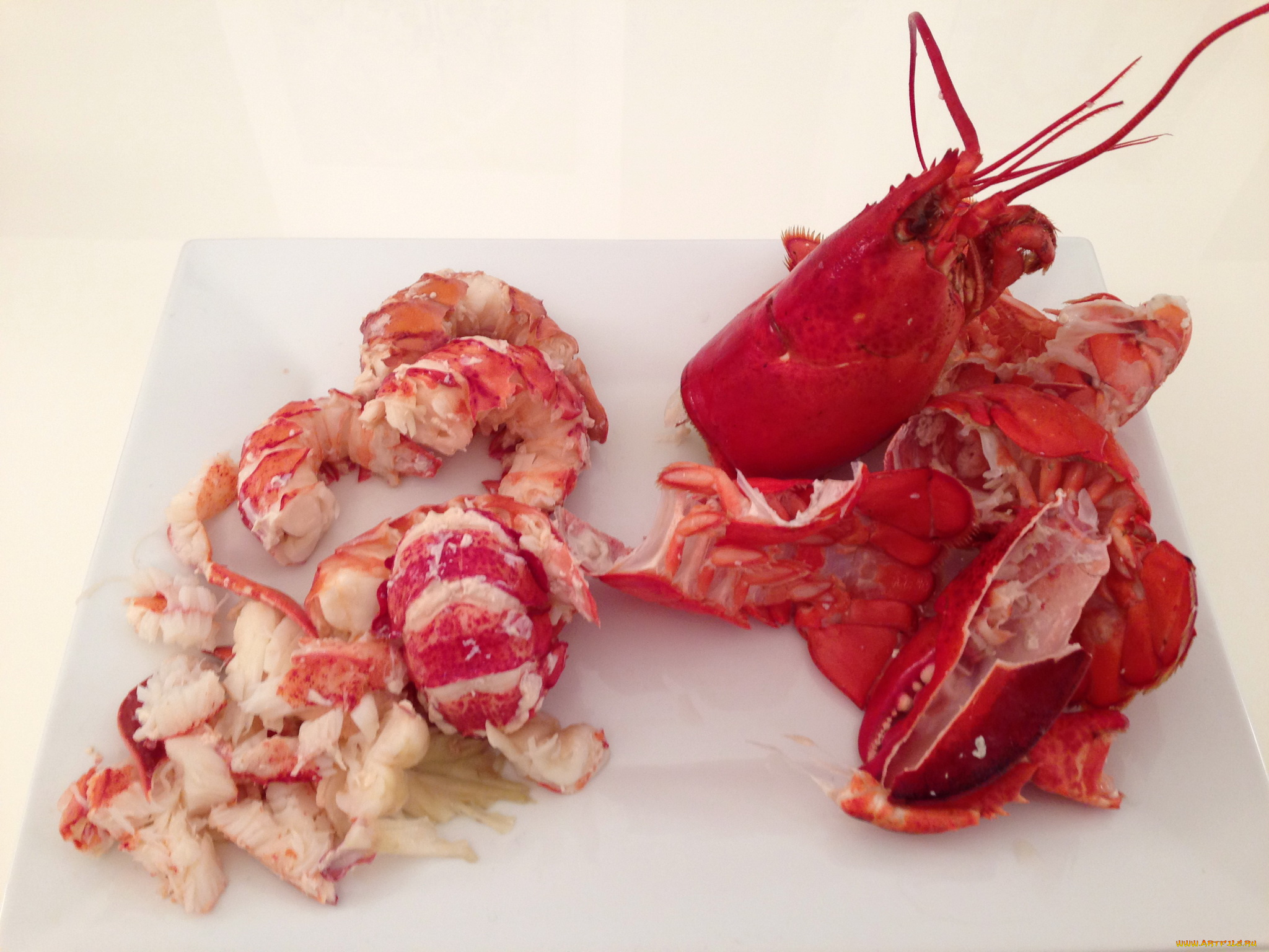 еда, рыба, морепродукты, суши, роллы, раки