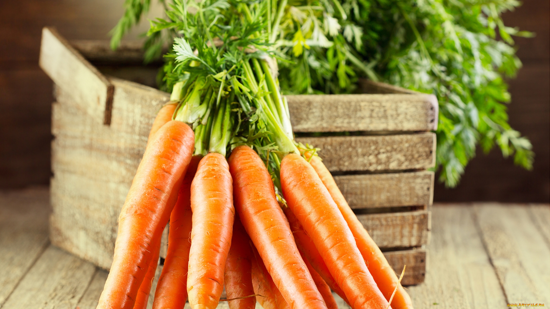 еда, морковь, плоды, ящик
