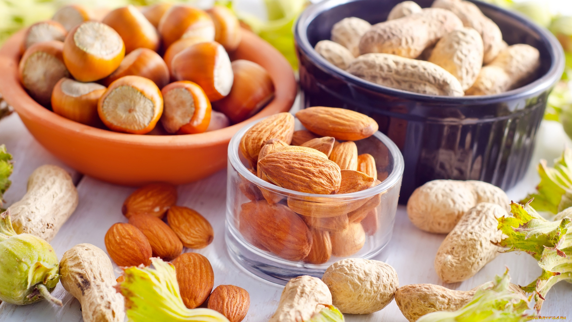 еда, орехи, , каштаны, , какао-бобы, миндаль, арахис, фундук