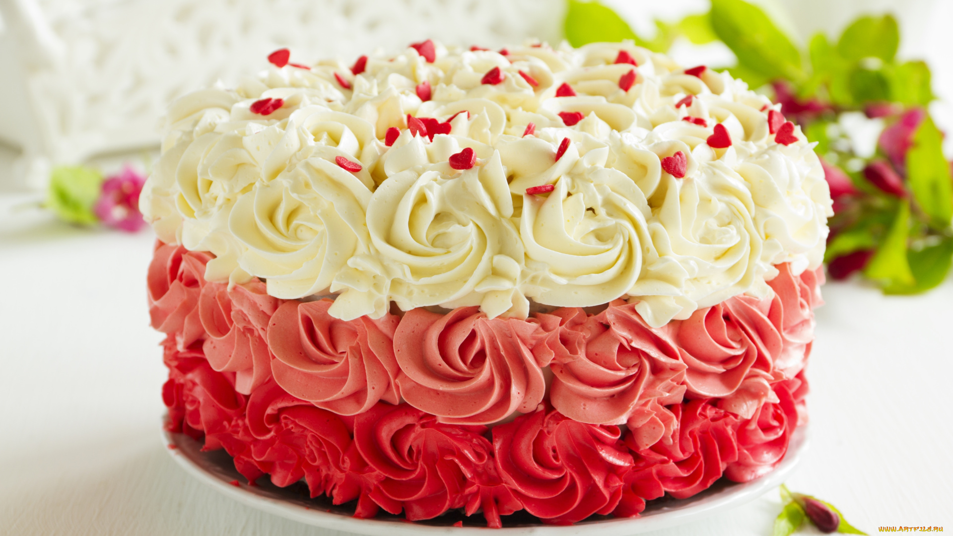 еда, торты, крем