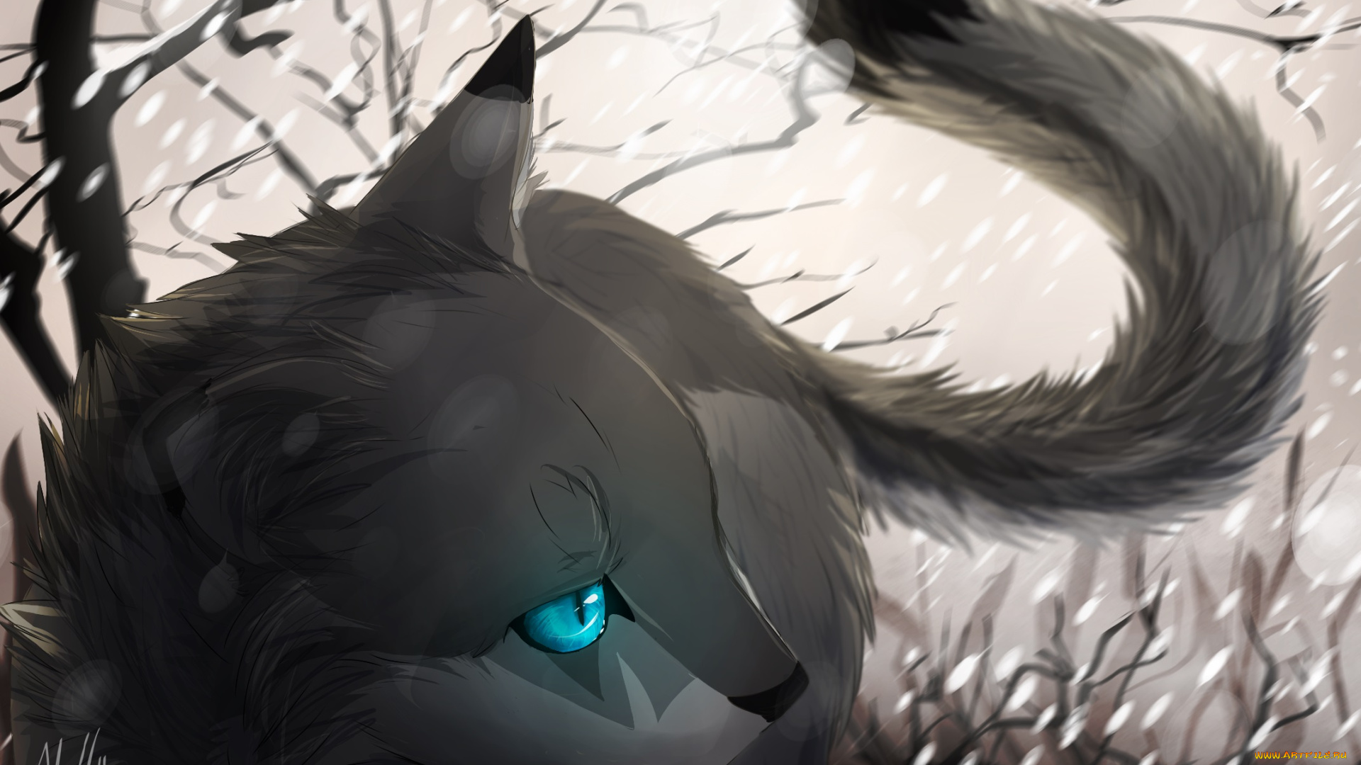 рисованные, животные, , коты, кот