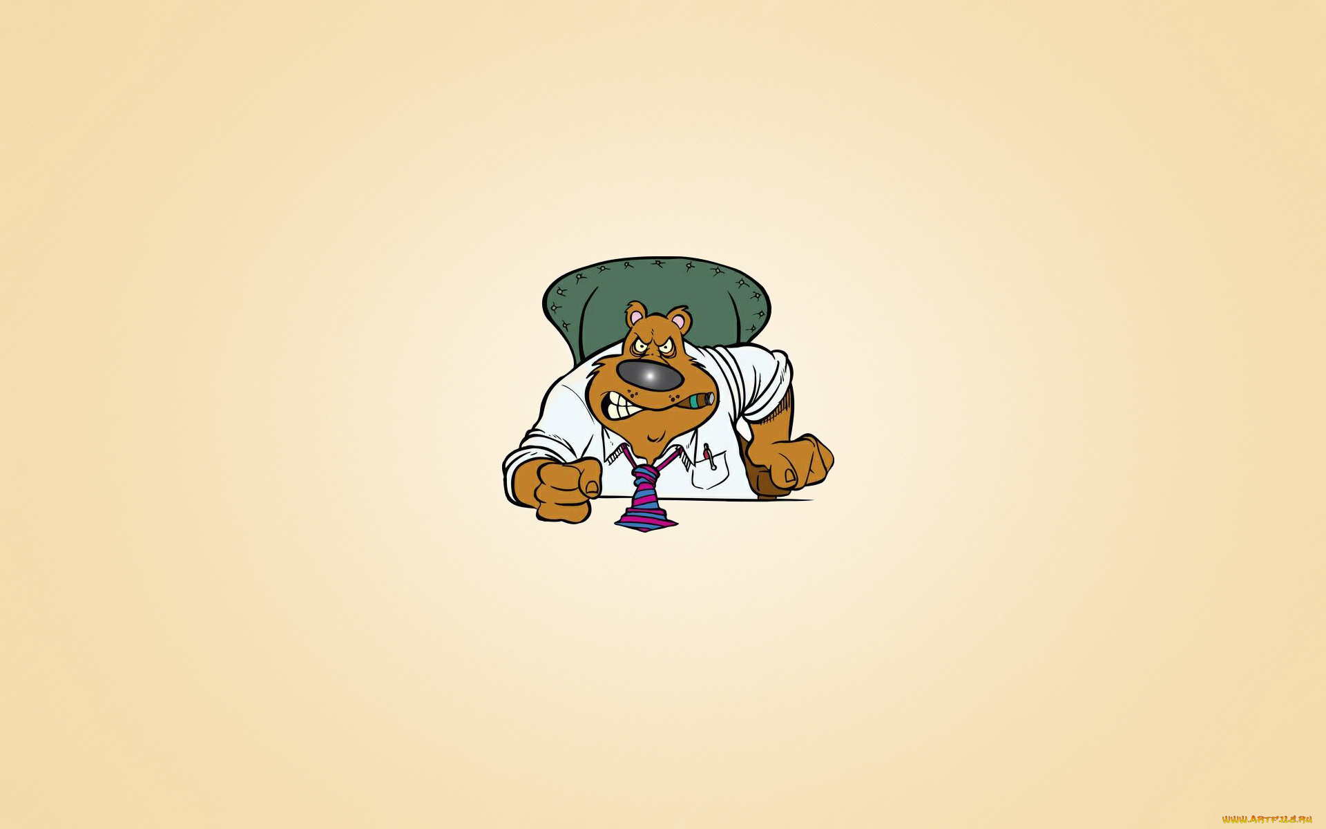 рисованные, минимализм, галстук, кулак, медведь, босс, светлый, фон, сидит, сигара, стул, злой