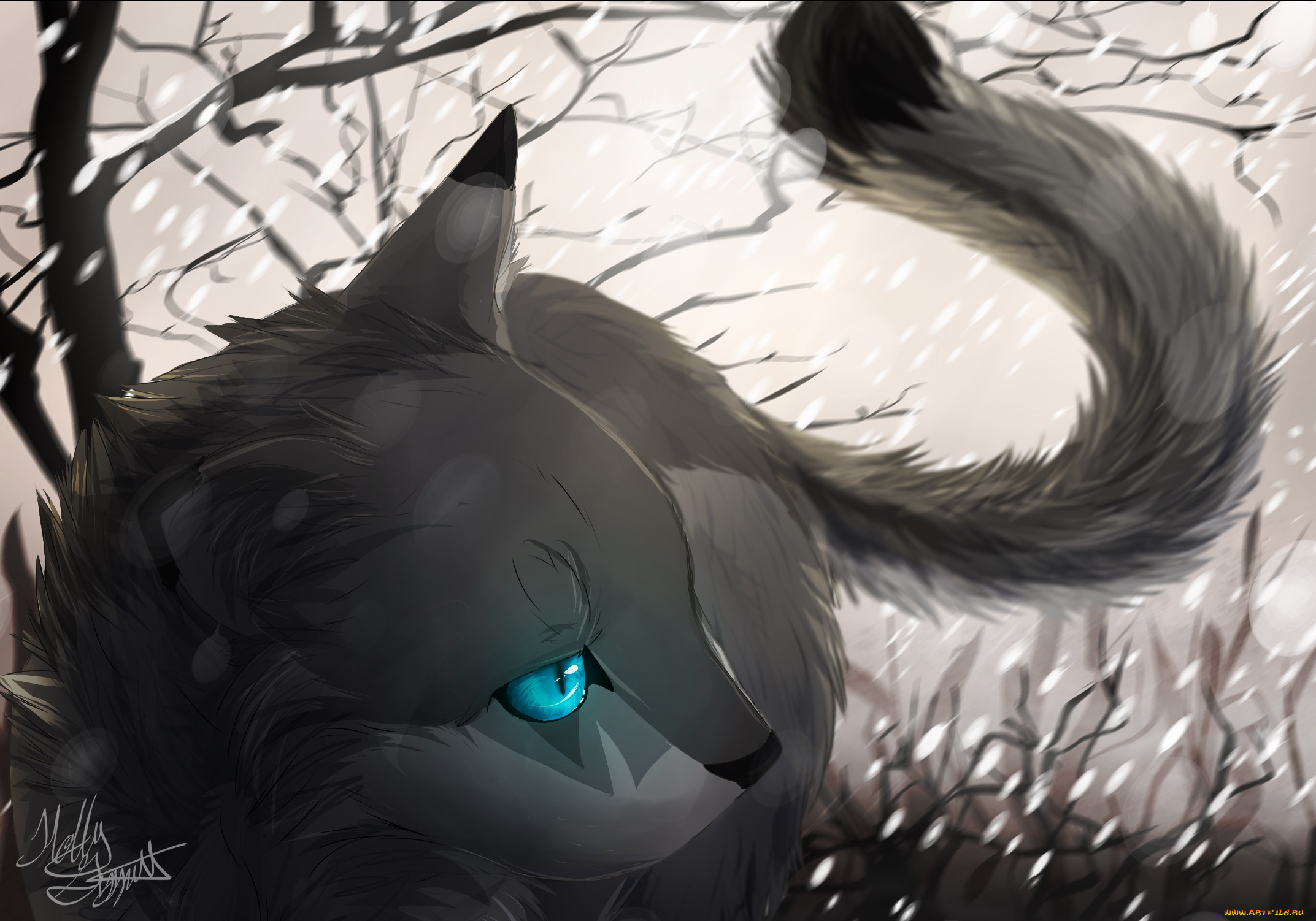 рисованные, животные, , коты, кот