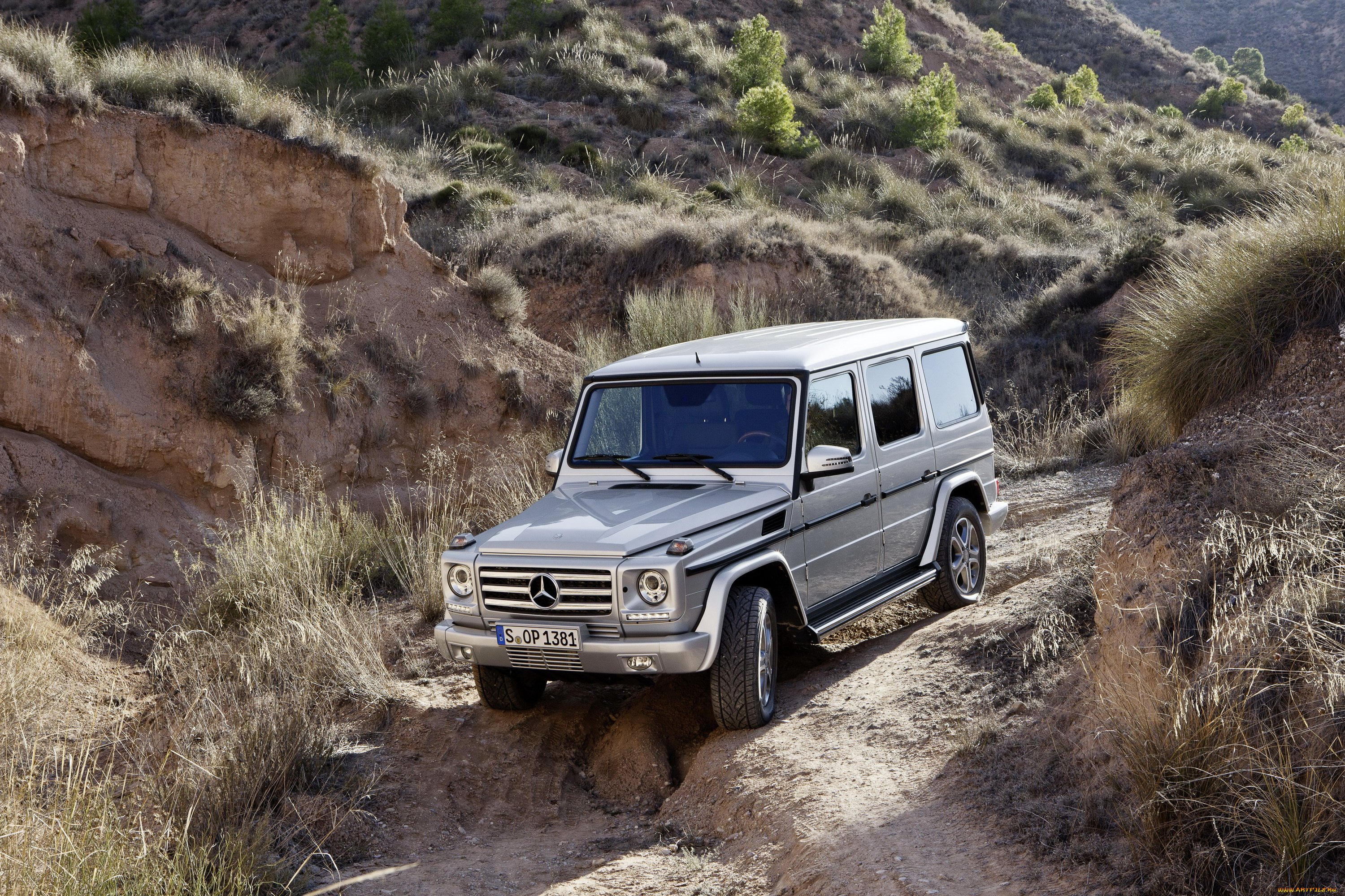 2012, mercedes-benz, g350, w463, bluetec, автомобили, mercedes-benz, горы, серый