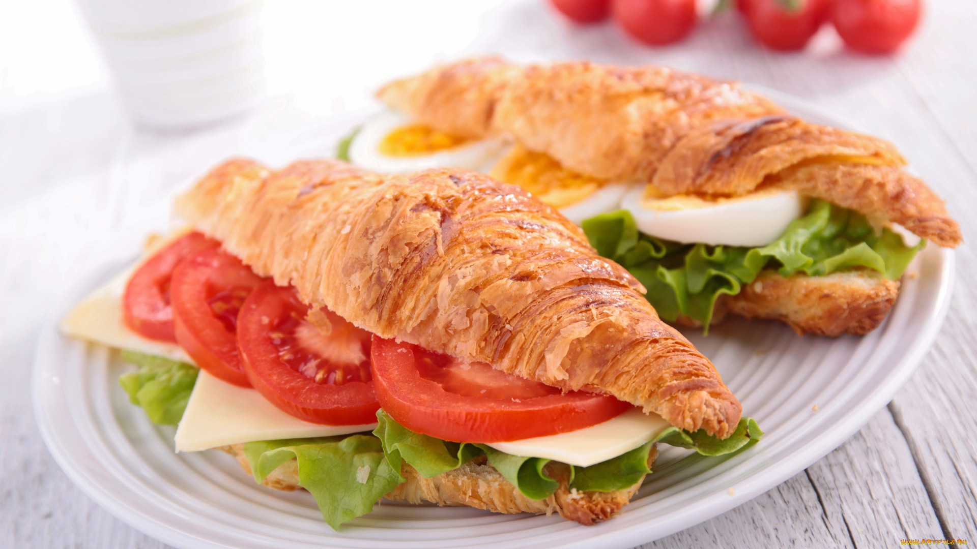 еда, бутерброды, , гамбургеры, , канапе, croissant, круассан, tomatoes, sandwich, сыр, бутерброд, помидоры