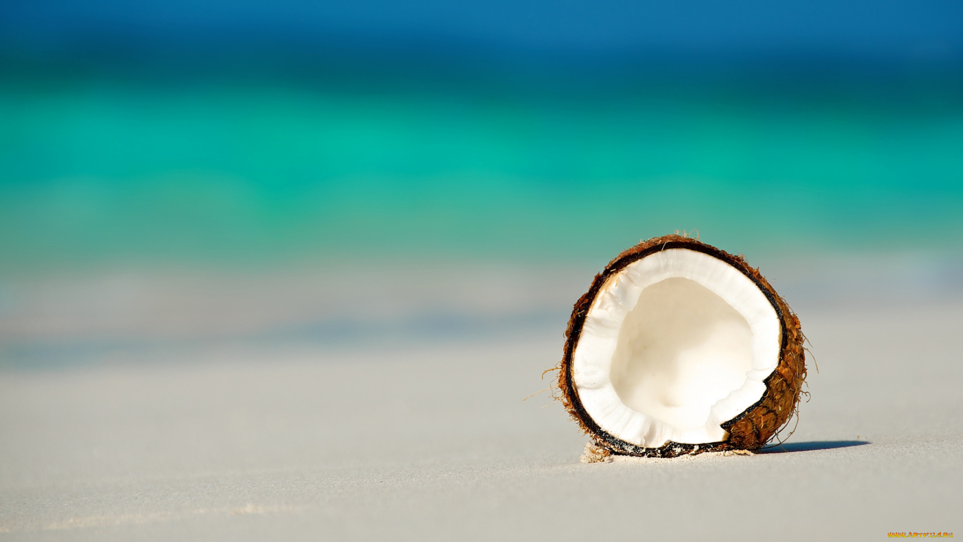 еда, кокос, мальдивы, океан, орех, пляж