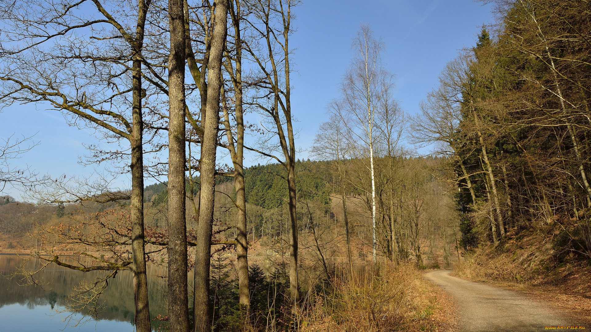 природа, дороги, лес, река, дорожка