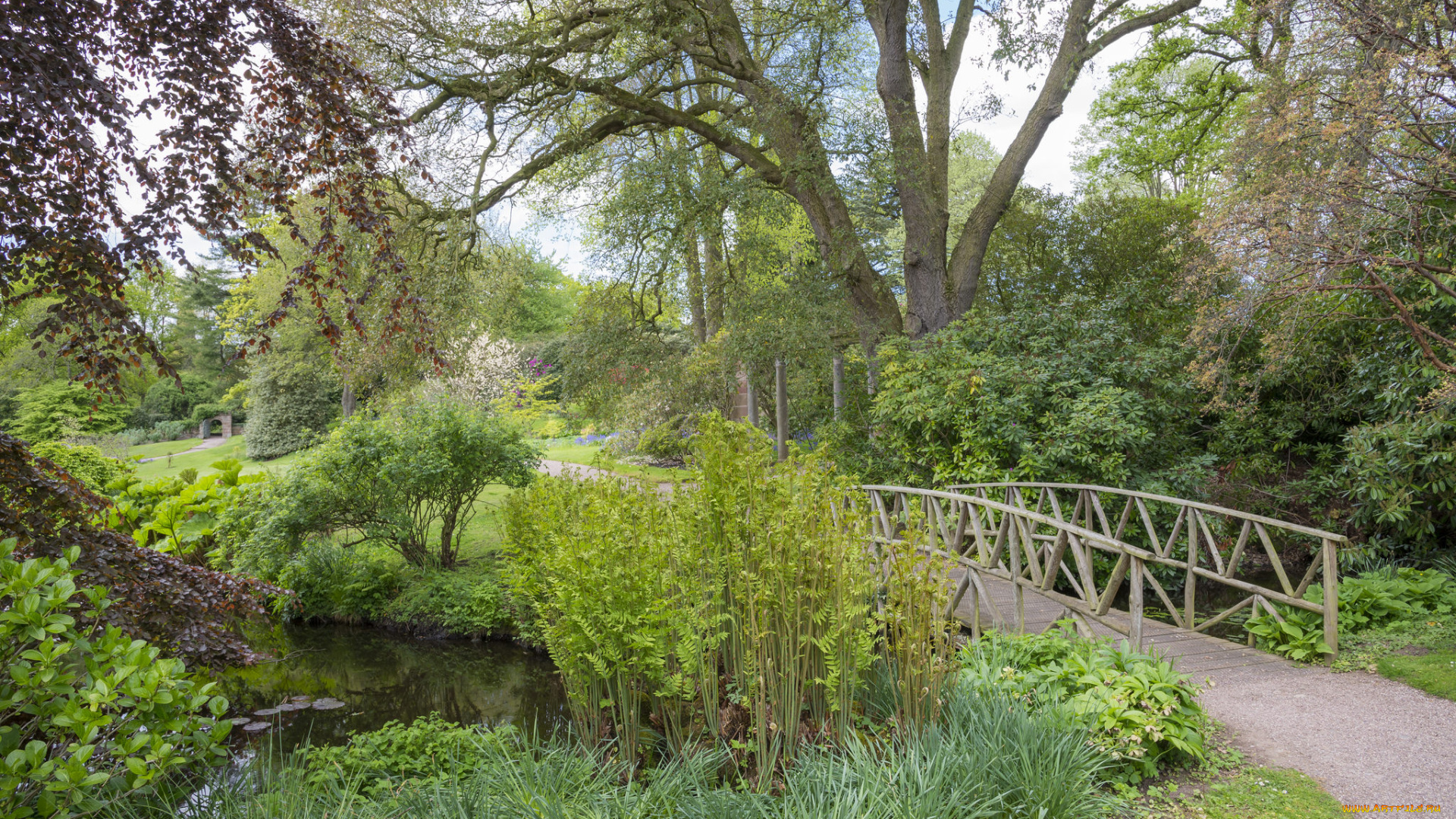 природа, дороги, лес, река, мостик