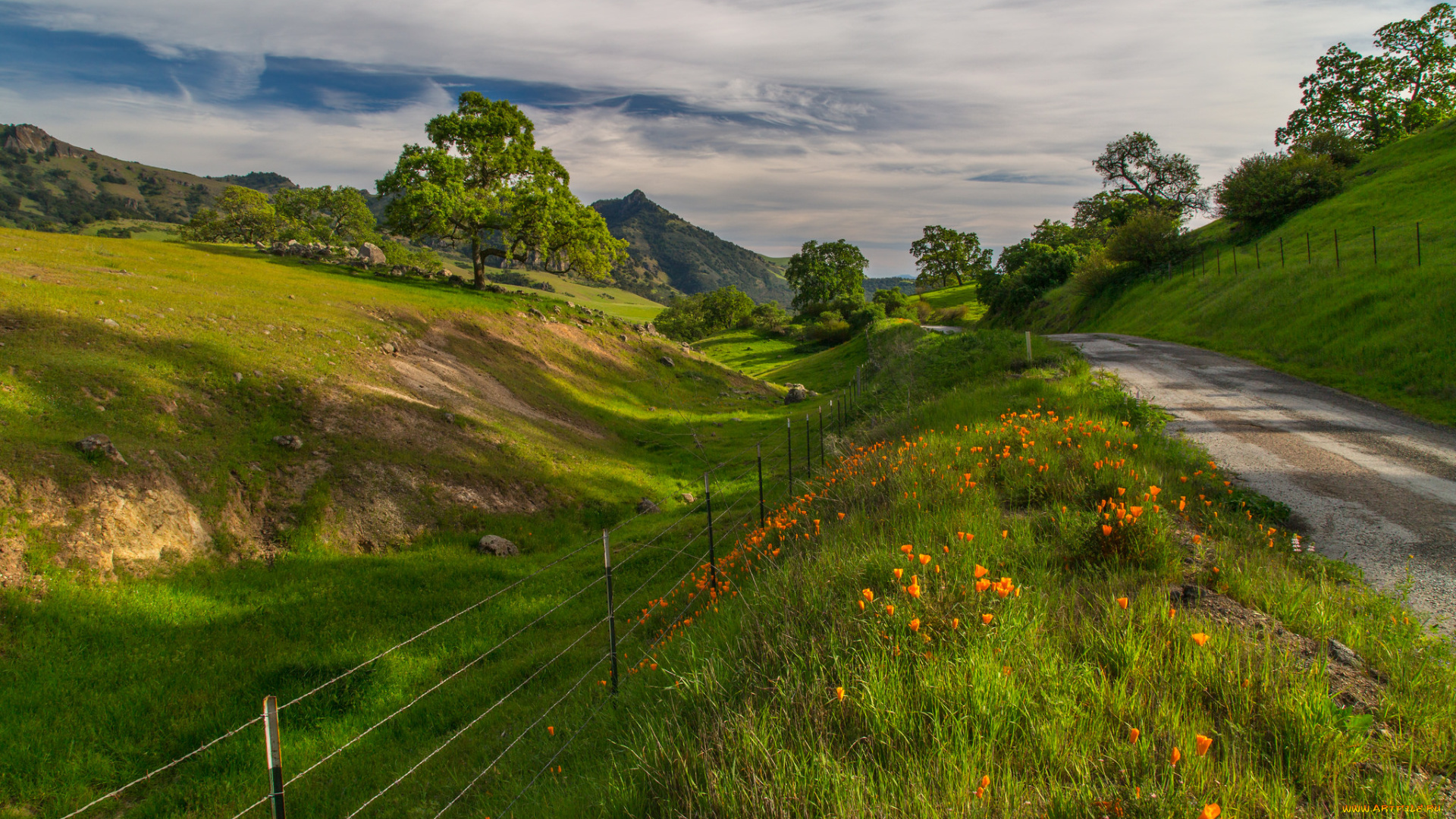 природа, дороги, тракт, овраг