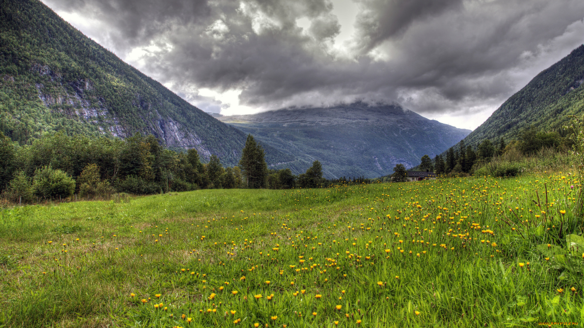природа, луга, горы, долина, трава, цветы