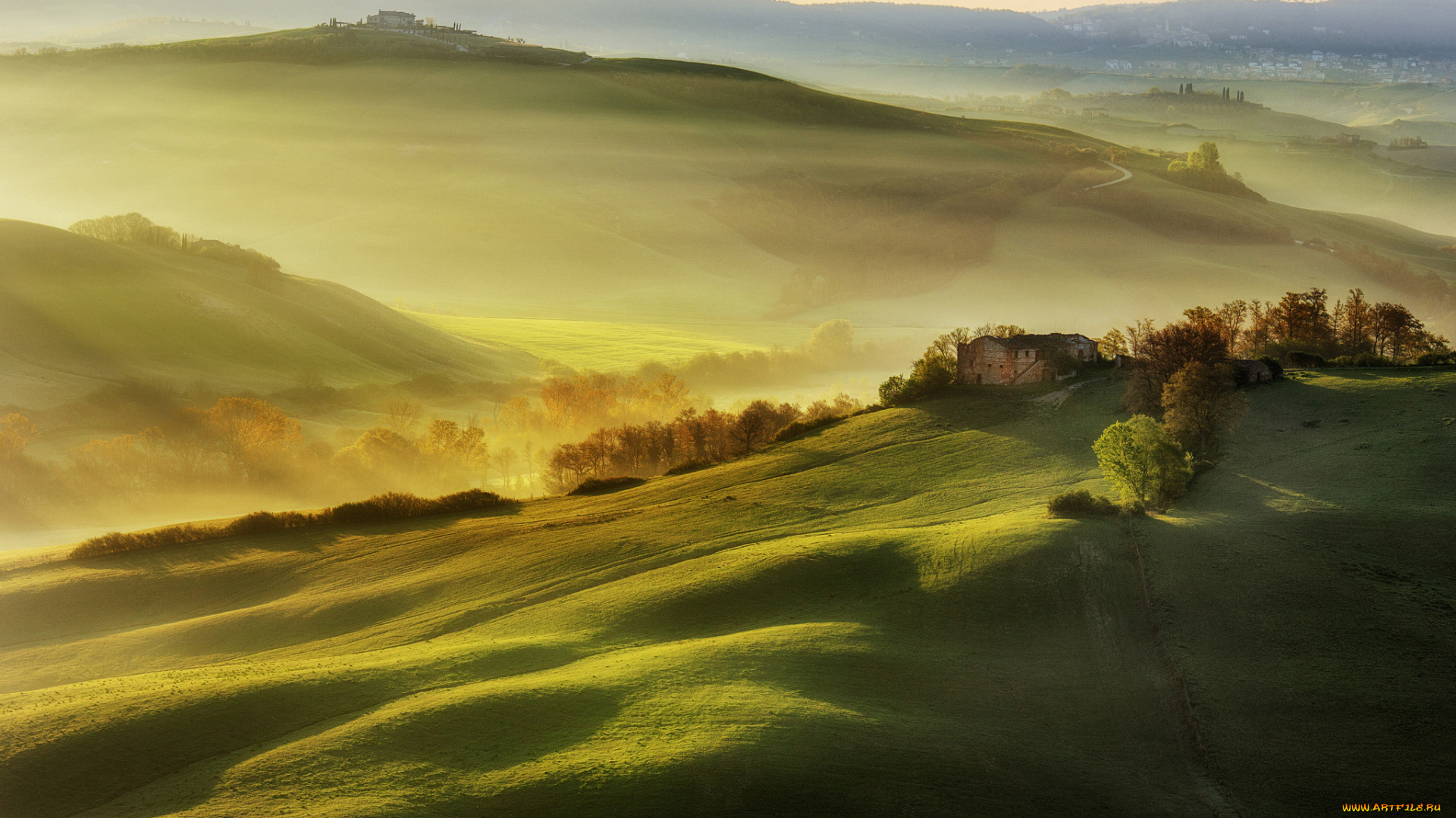 природа, луга, италия, тоскана, утро, поля, свет, дымка