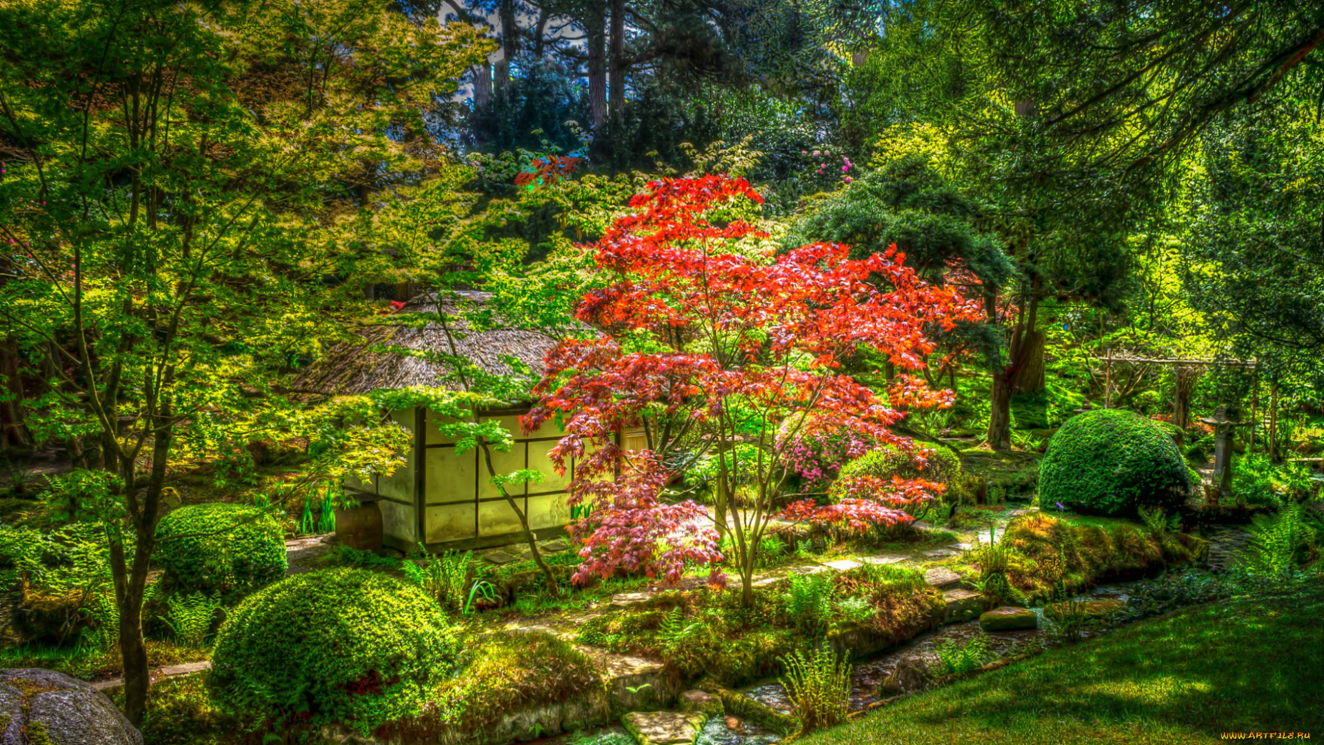 природа, парк, hdr, кусты, домик, зелень, Япония, деревья