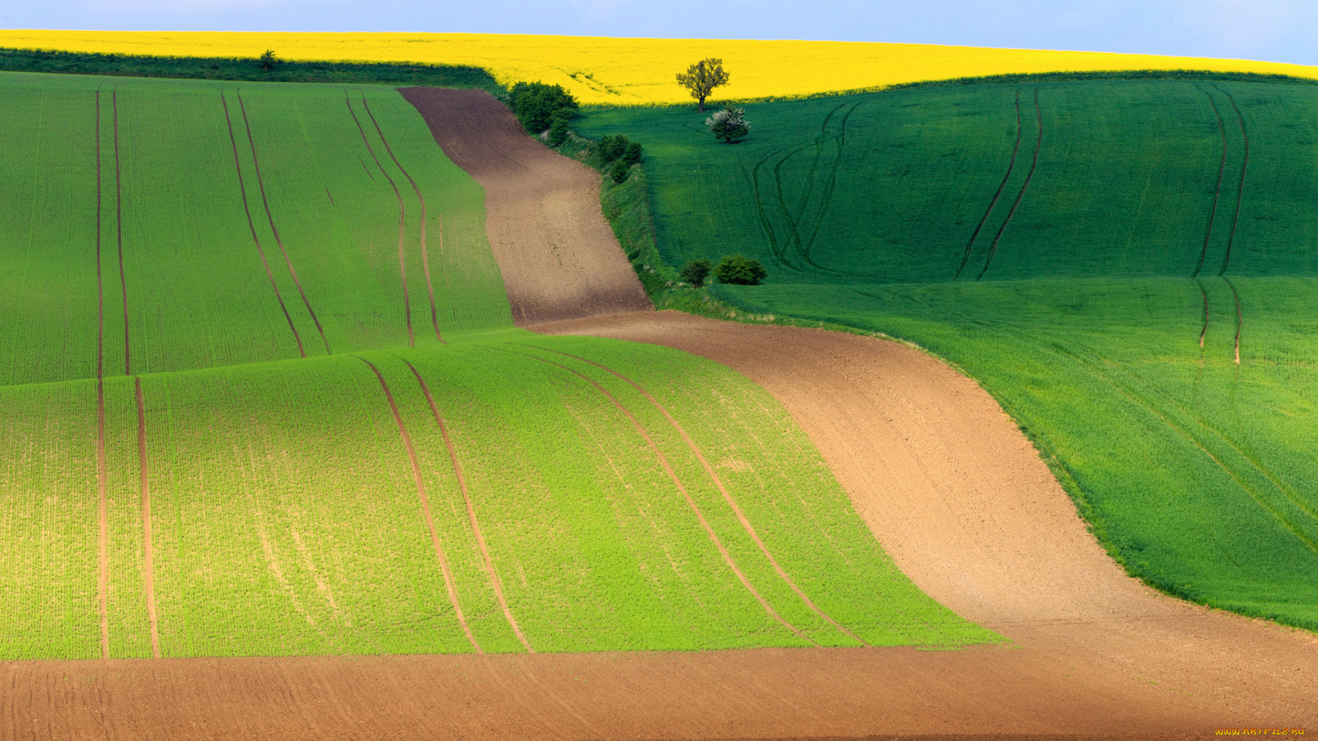 природа, поля, Чехия, южноморавский, край, весна, небо