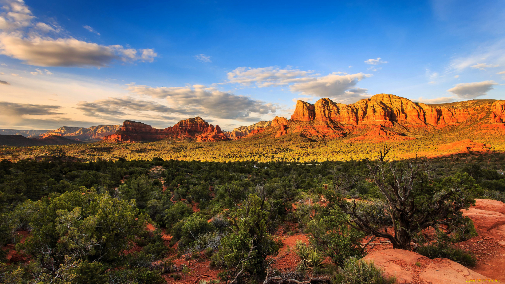 природа, пустыни, горы, равнина, растительность