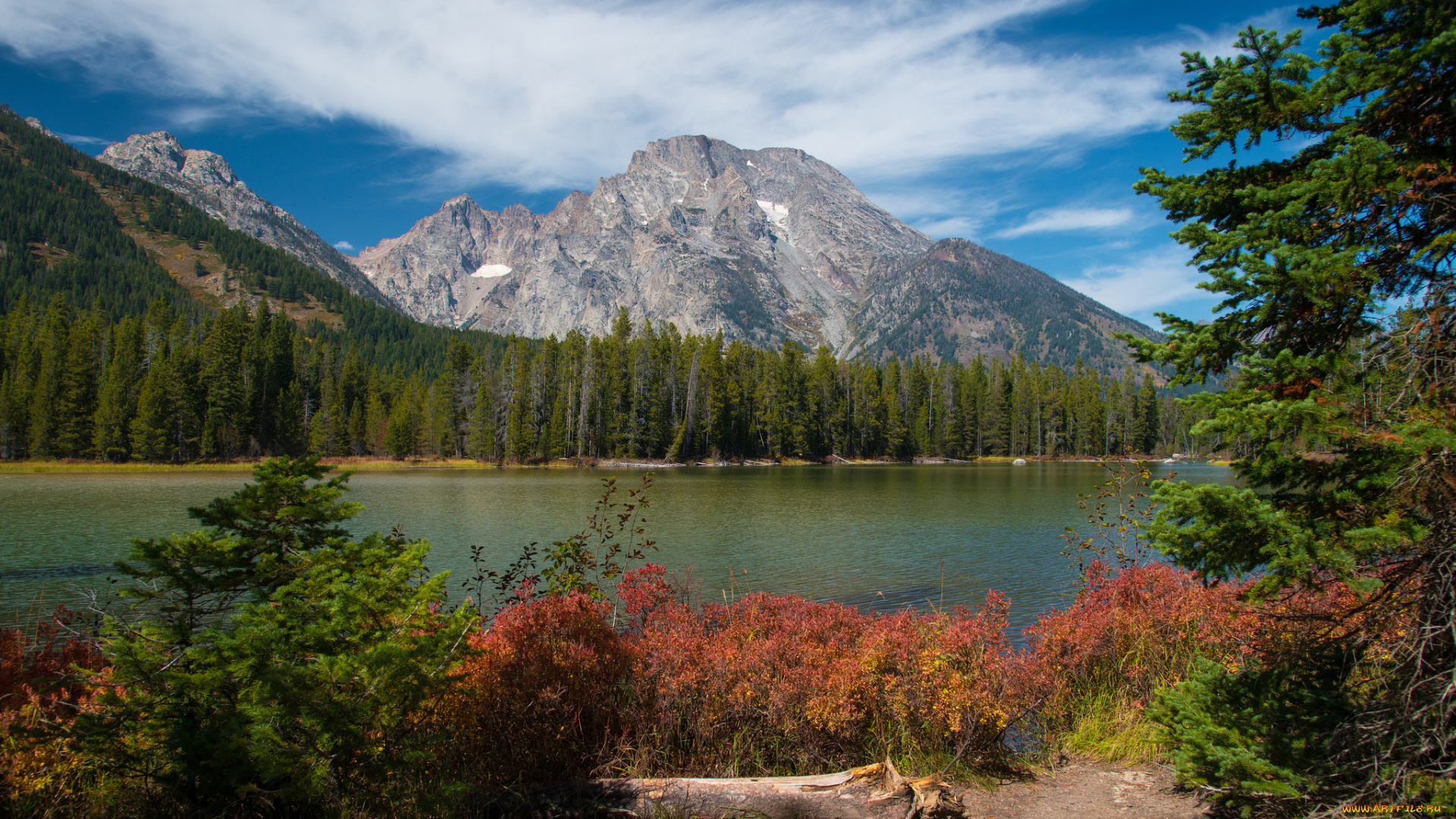 природа, реки, озера, горы, река, лес