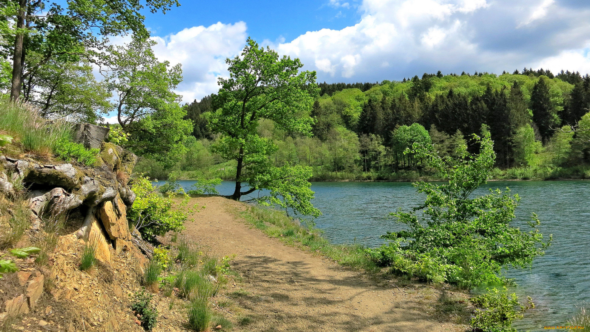 природа, реки, озера, лес, река