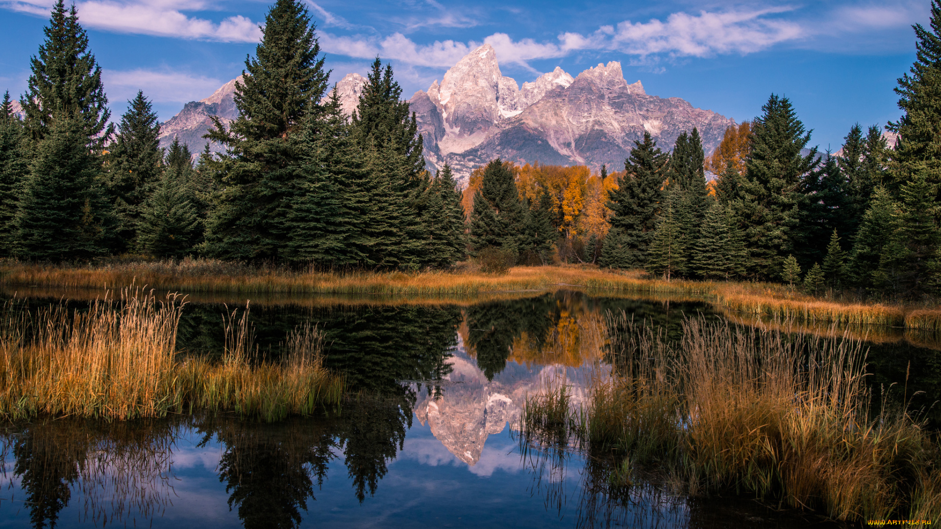 природа, реки, озера, река, лес, горы