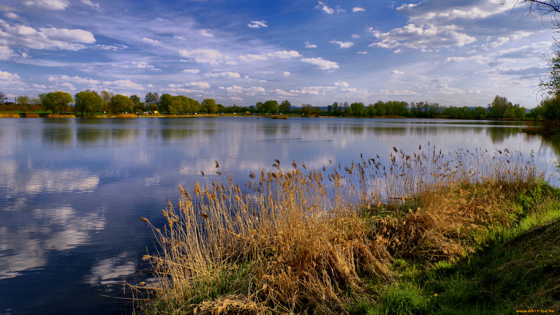 природа, реки, озера, река, простор