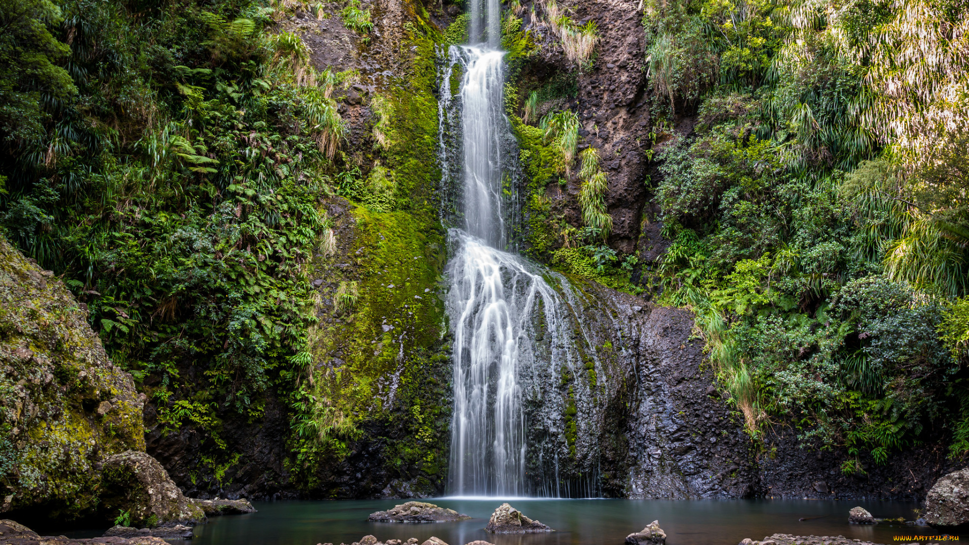 природа, водопады, лес, река, водопад