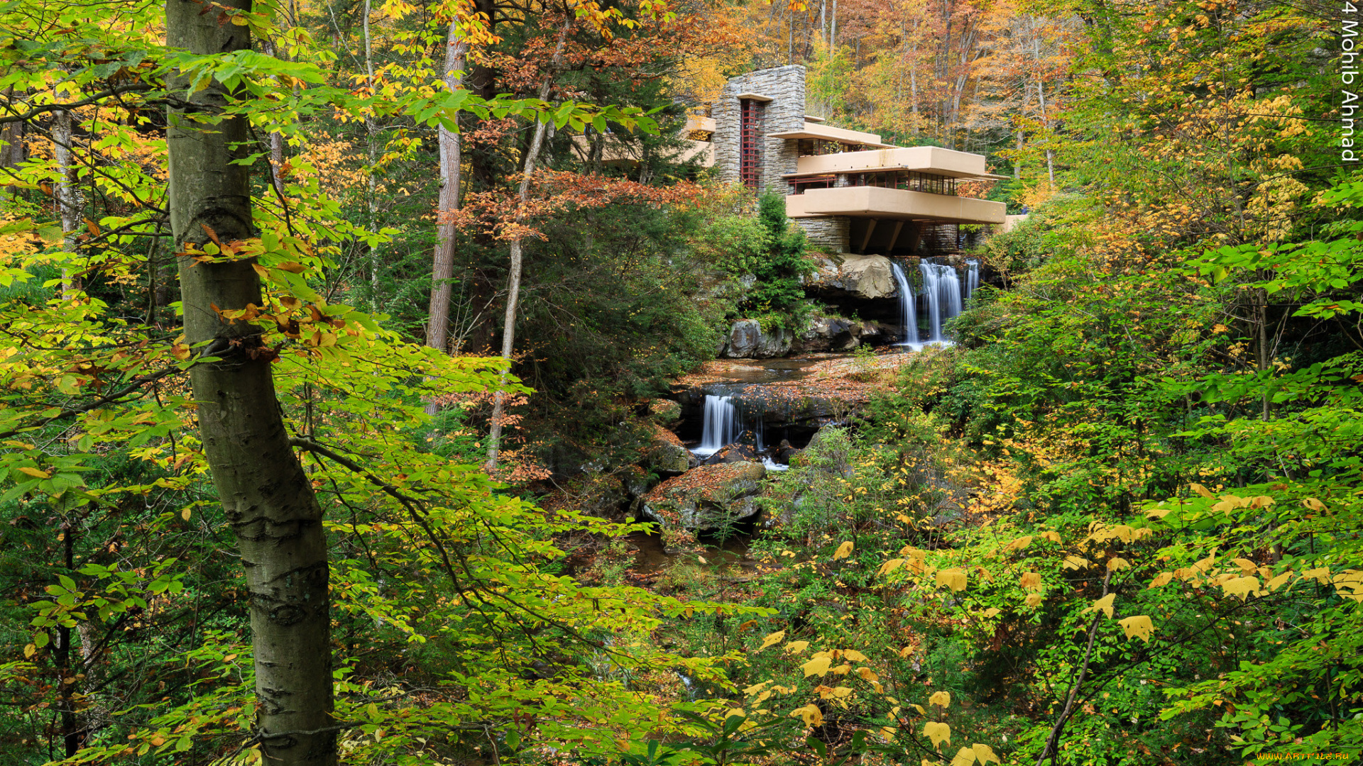 природа, водопады, лес, река, водопад