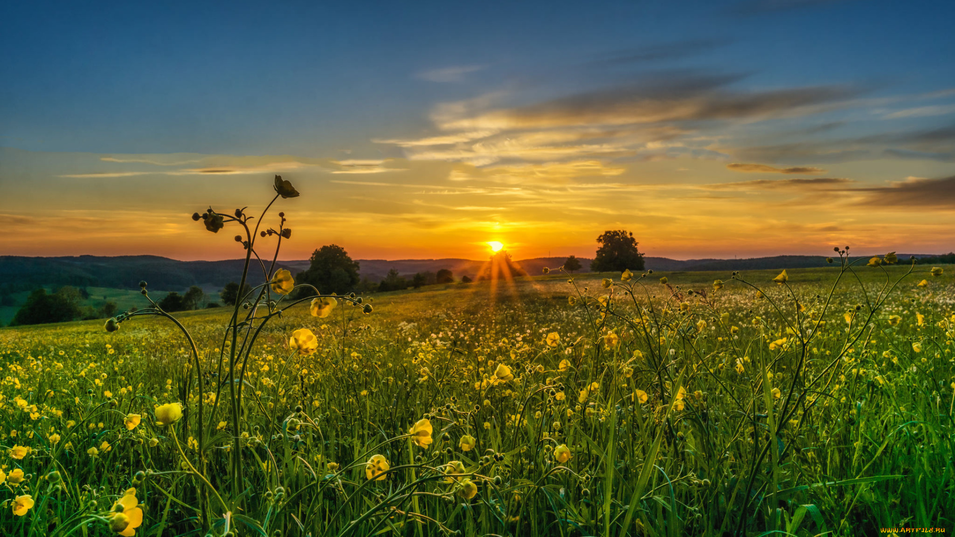 природа, восходы, закаты, рассвет, луг