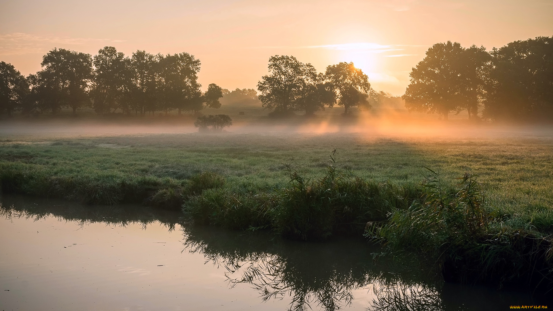 природа, восходы, закаты, роса, деревья, лучи, трава, камыш, река, утро, весна, солнце, солнца, свет, туман