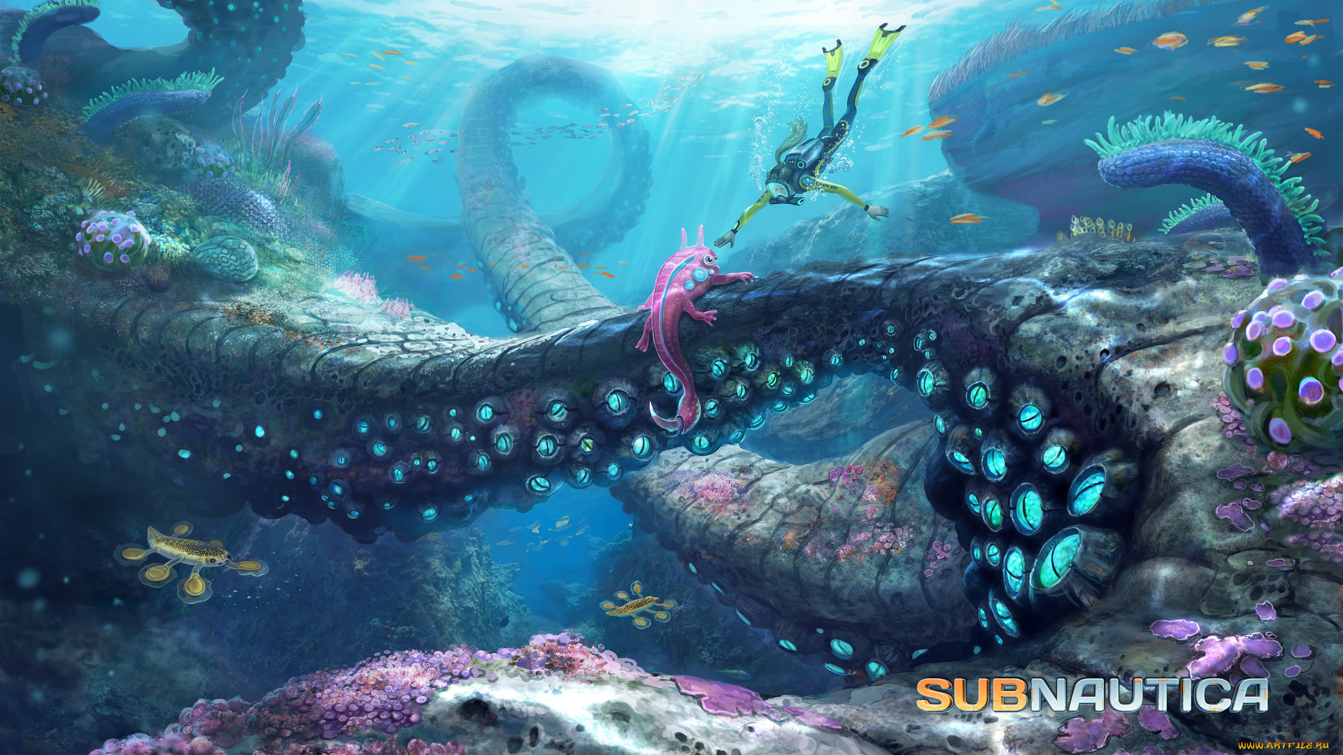 subnautica, видео, игры, -, subnautica, симулятор, подводный, мир, приключения, action