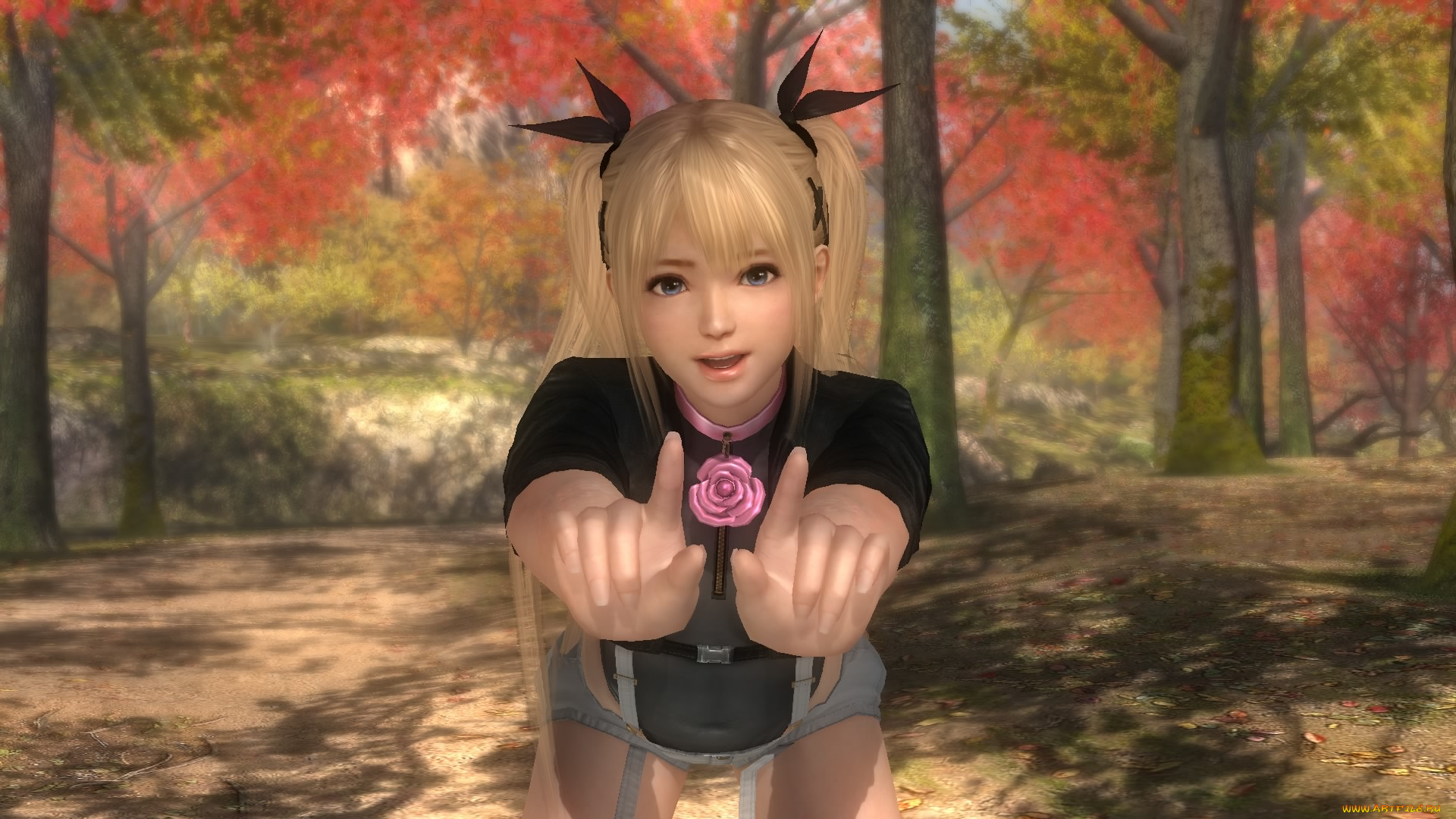 видео, игры, dead, or, alive, 5, персонаж