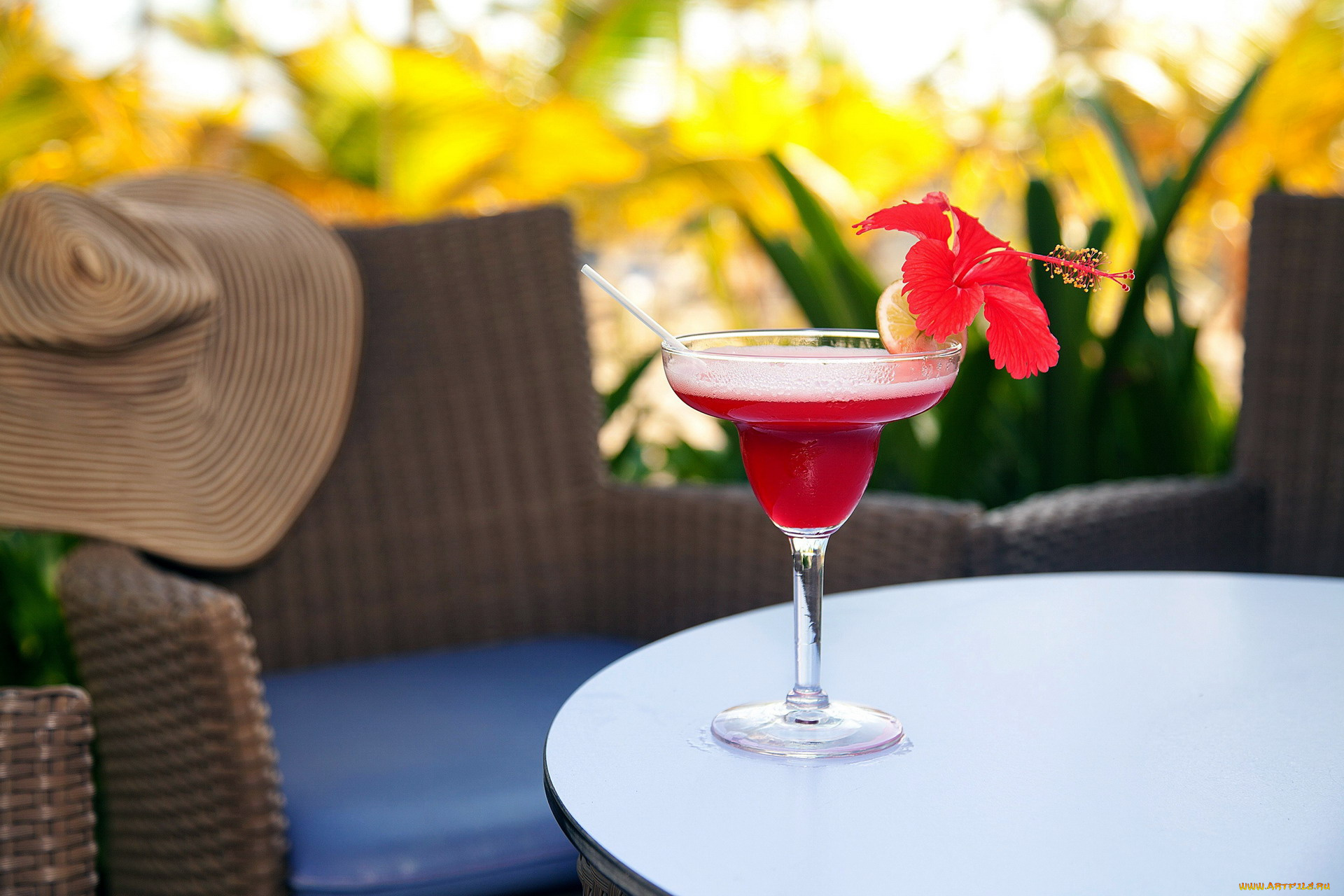 еда, напитки, , коктейль, гибискус