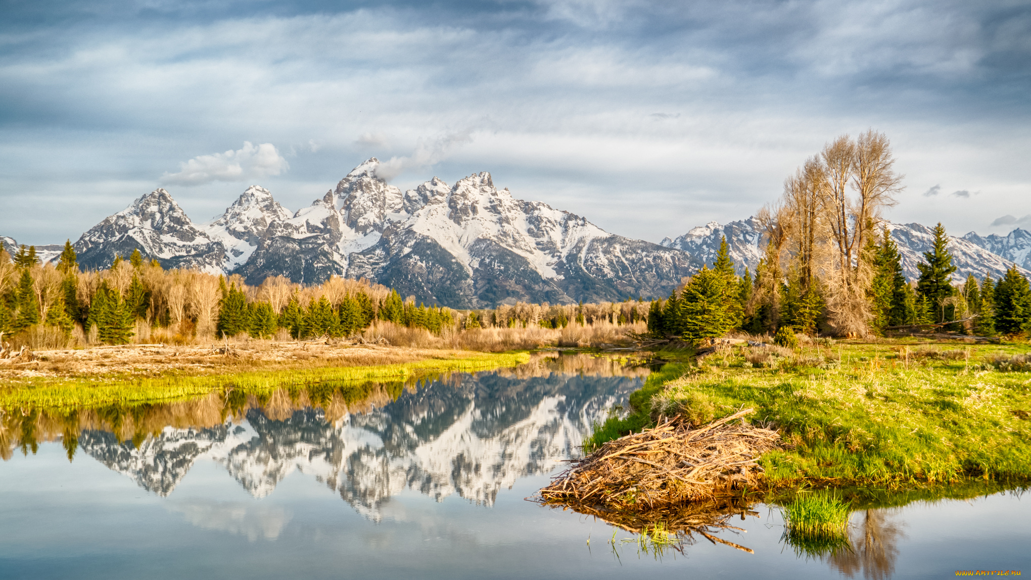 природа, реки, озера, горы, лес, река