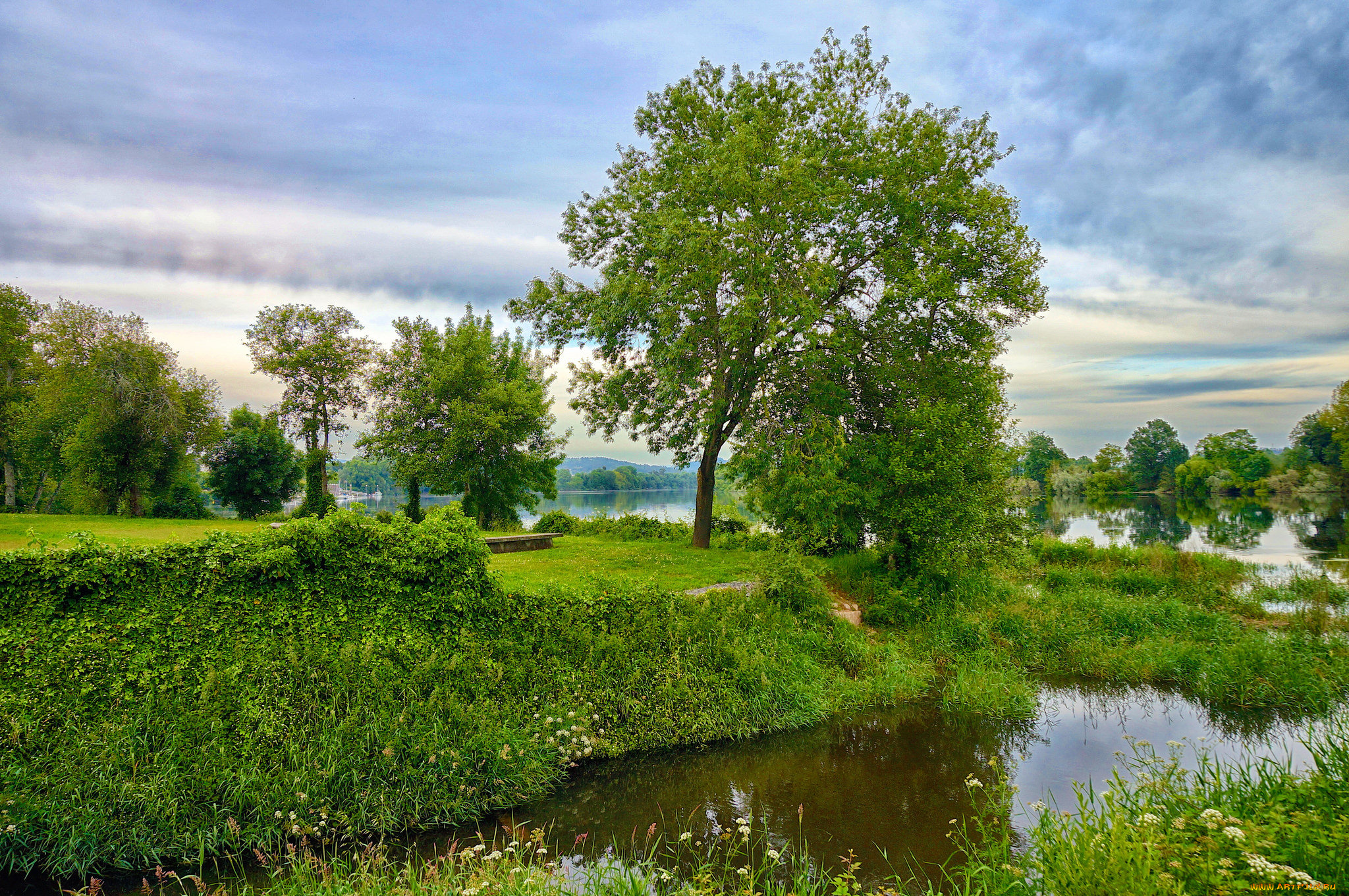 природа, реки, озера, лес, река