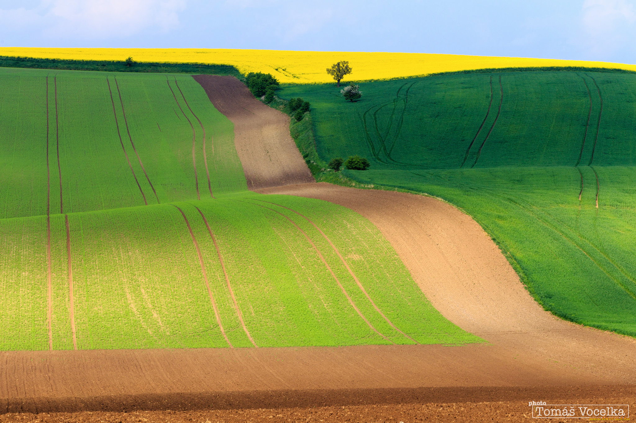 природа, поля, Чехия, южноморавский, край, весна, небо