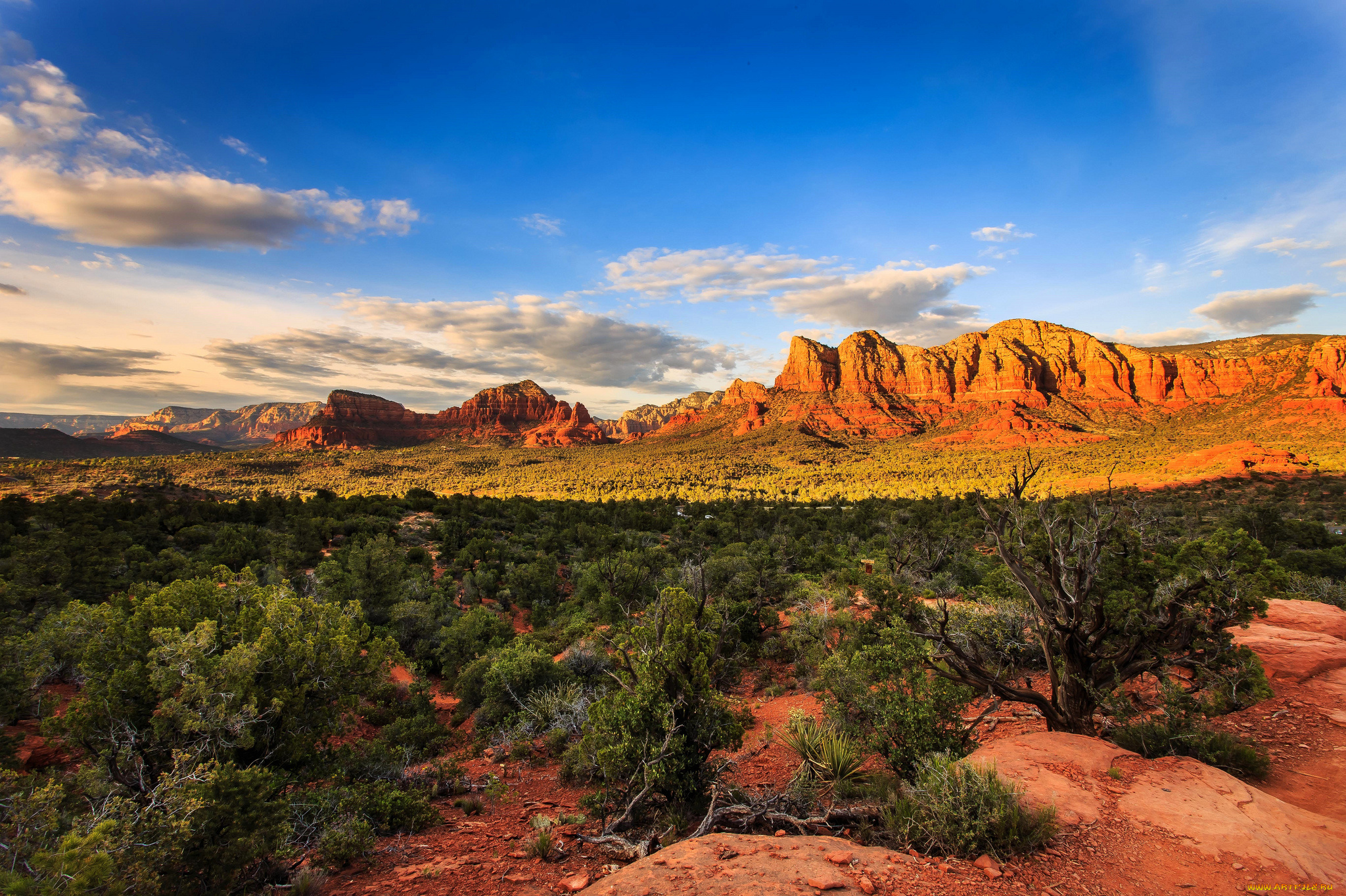 природа, пустыни, горы, равнина, растительность