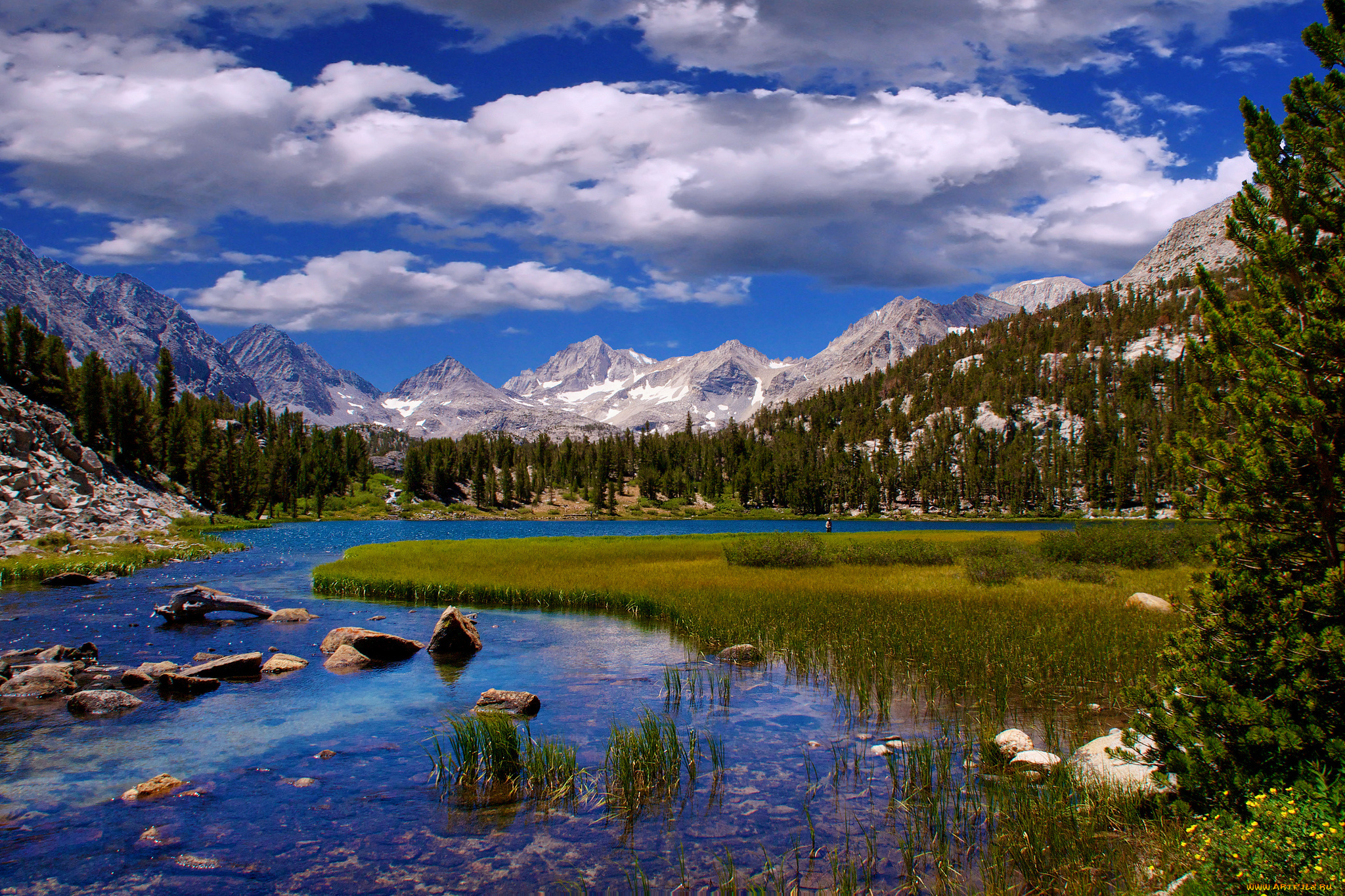 природа, реки, озера, горы, лес, река