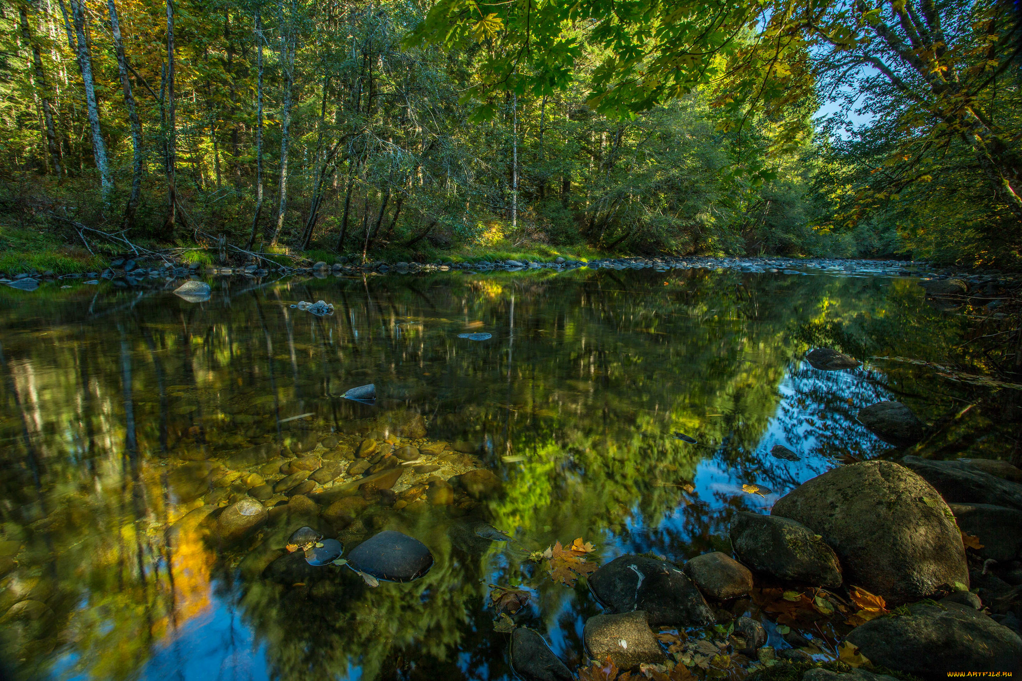 природа, реки, озера, лес, река