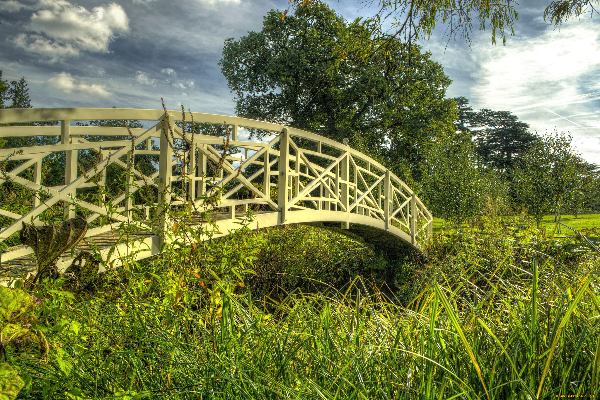 природа, реки, озера, лето, мост, трава, река