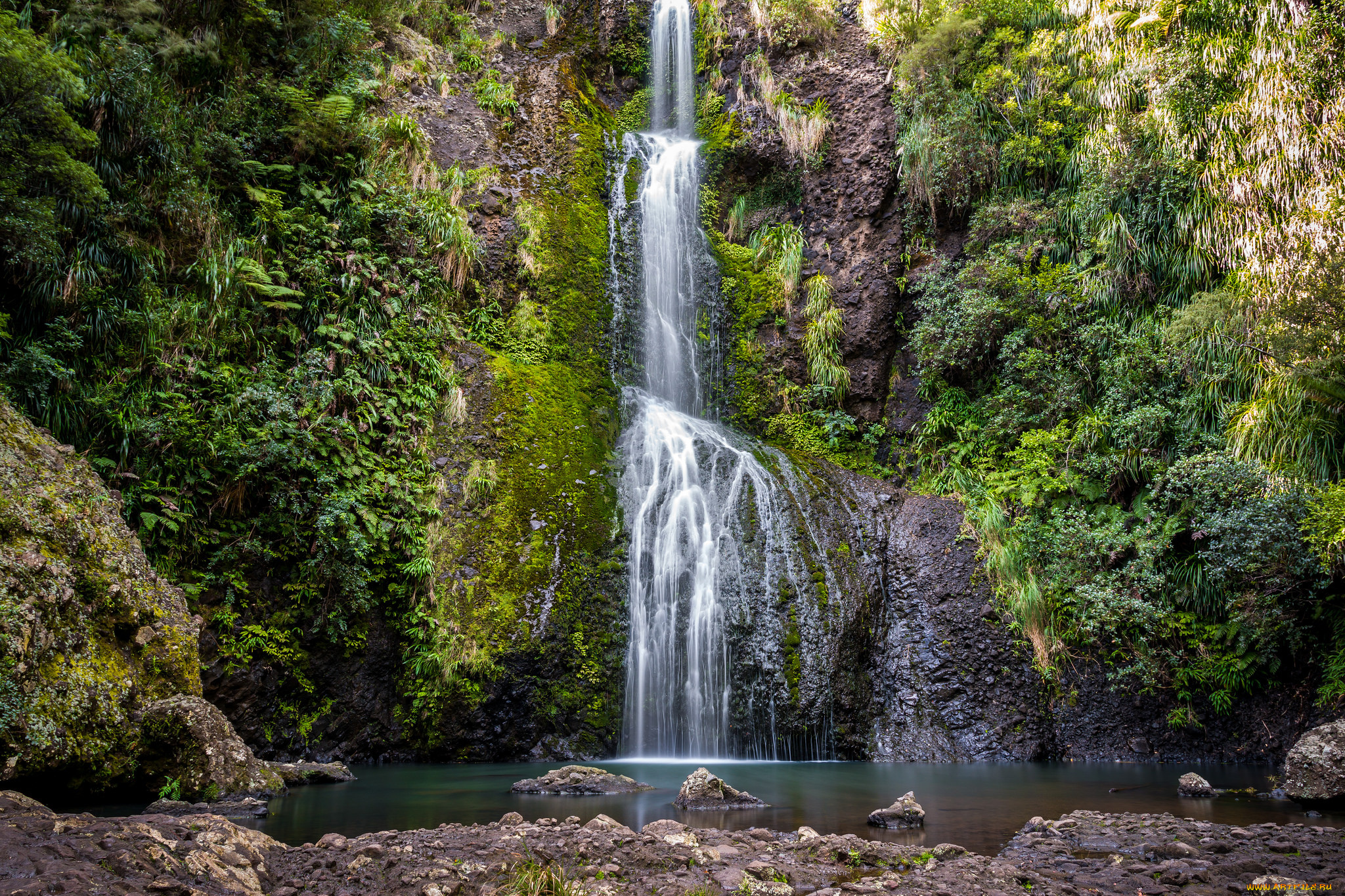 природа, водопады, лес, река, водопад