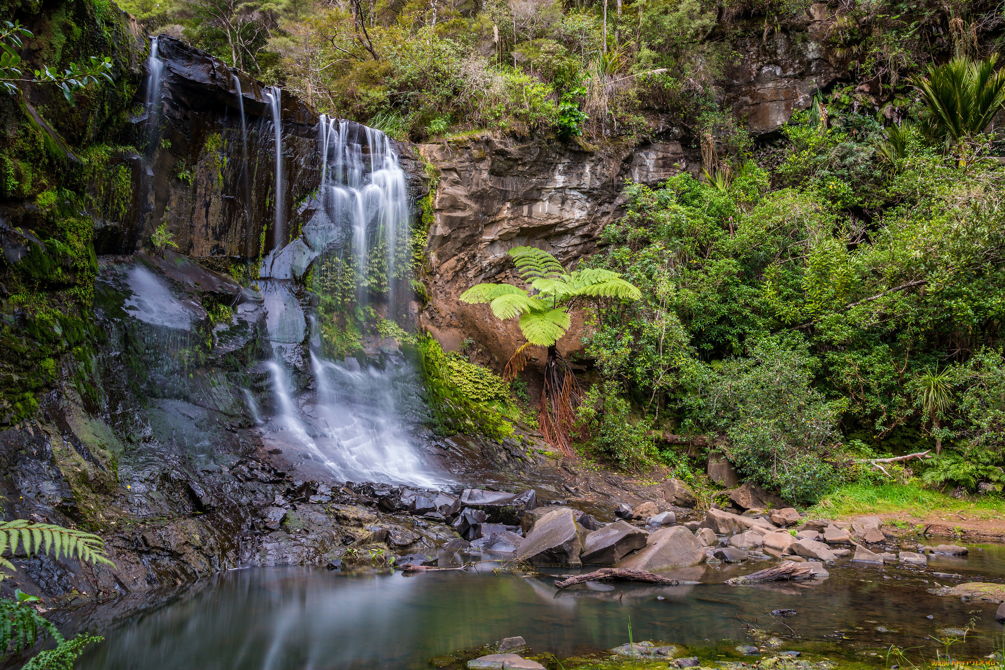 природа, водопады, лес, река, водопад