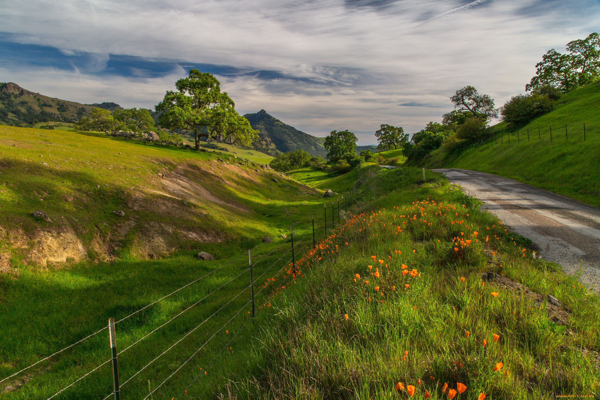 природа, дороги, тракт, овраг